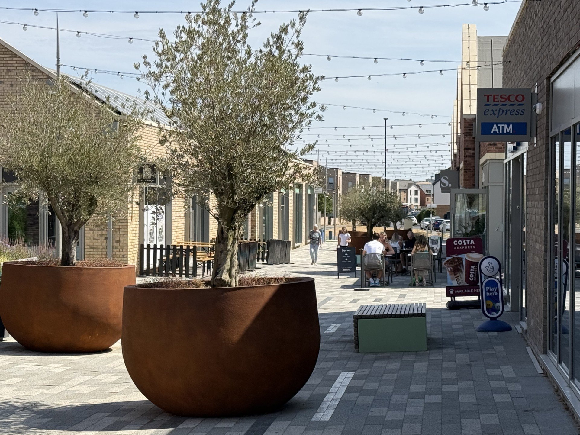 Olive Lane_07.jpg