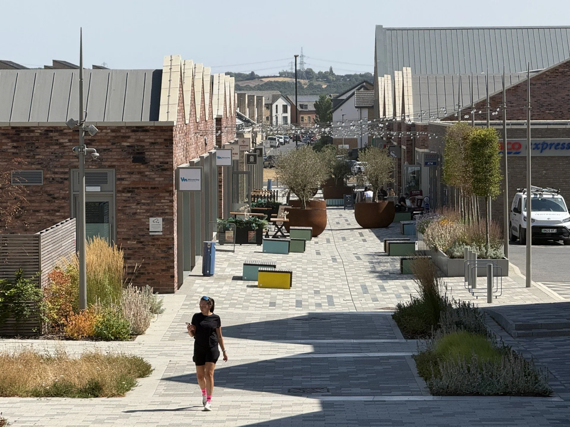 Olive Lane_11.jpg