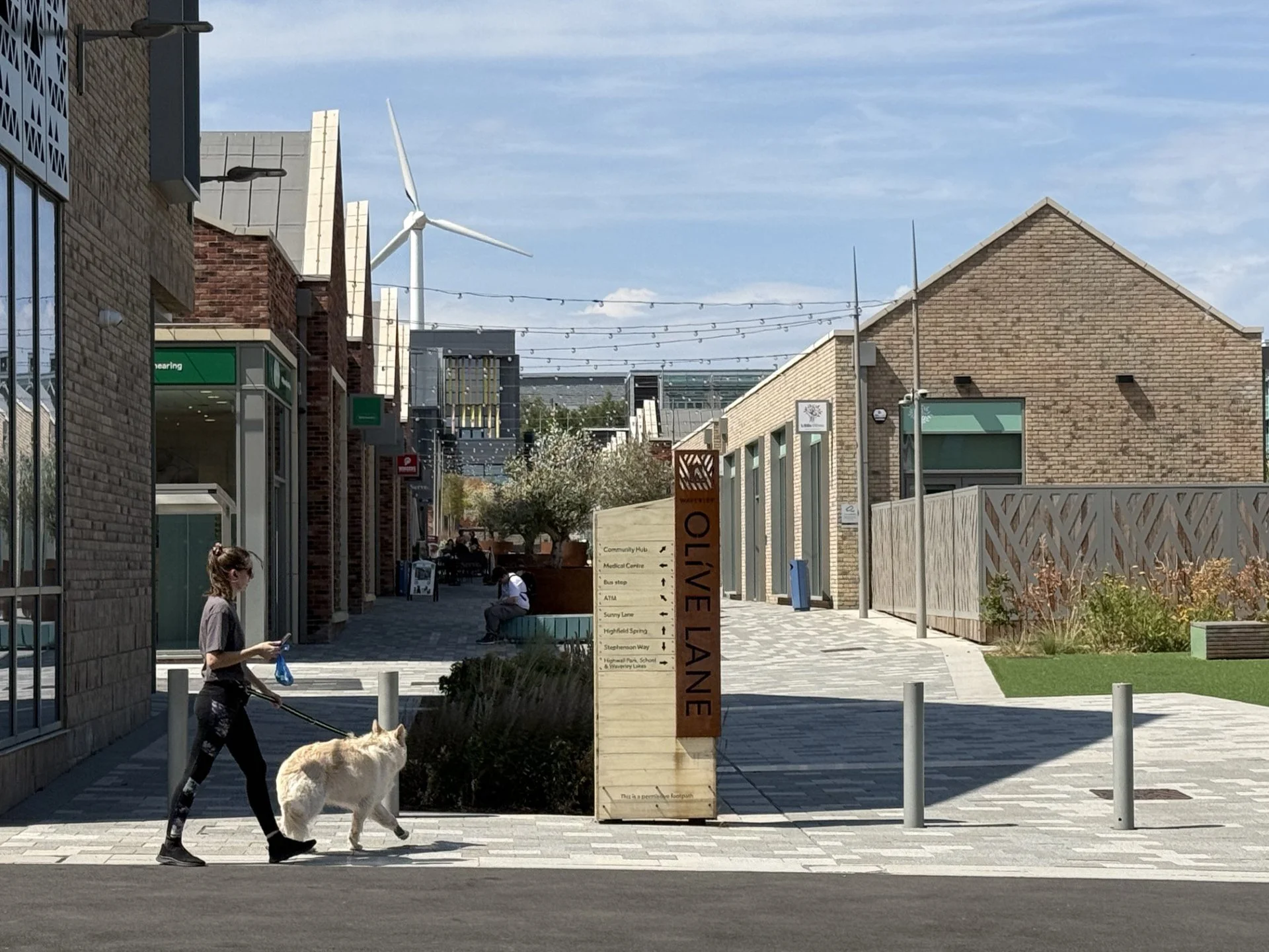 Olive Lane_01.jpg