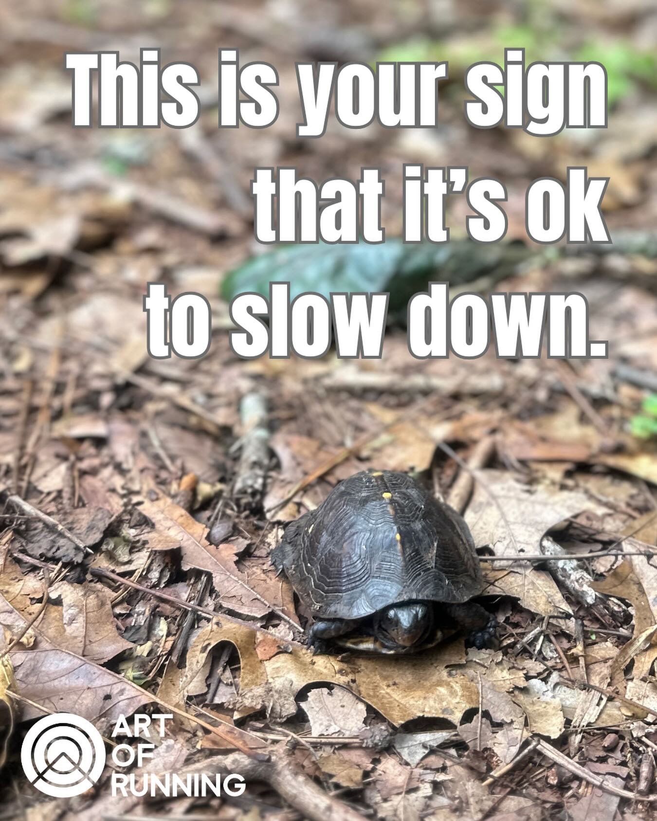 "Adopt the pace of nature: her secret is patience."&mdash; Ralph Waldo Emerson

And if you slow down on your easy runs, you&rsquo;ll build more capillaries and mitochondria to power you for your speedy workouts and races. Don&rsquo;t be afr