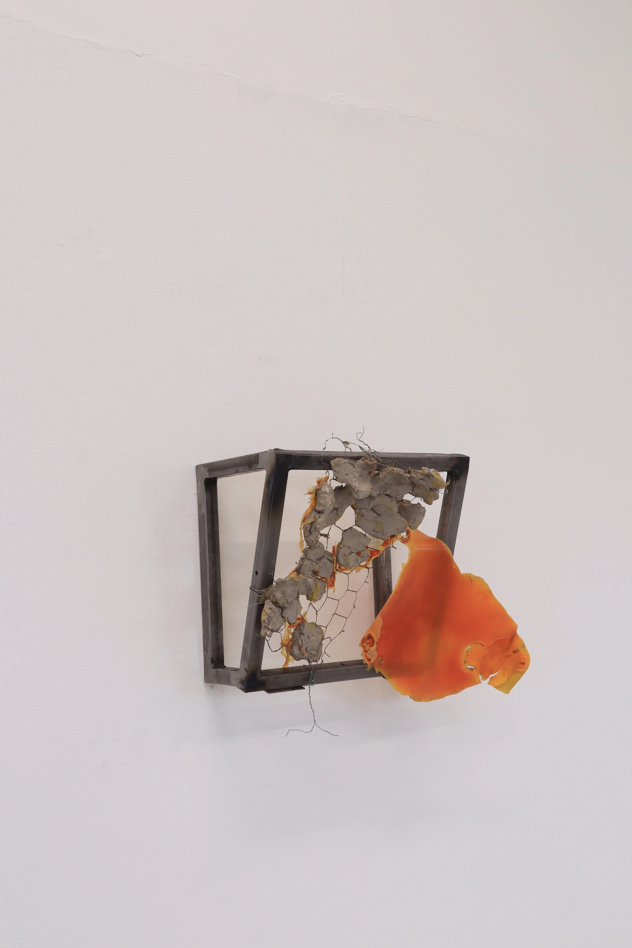 IMG_0937 (kopia).JPG