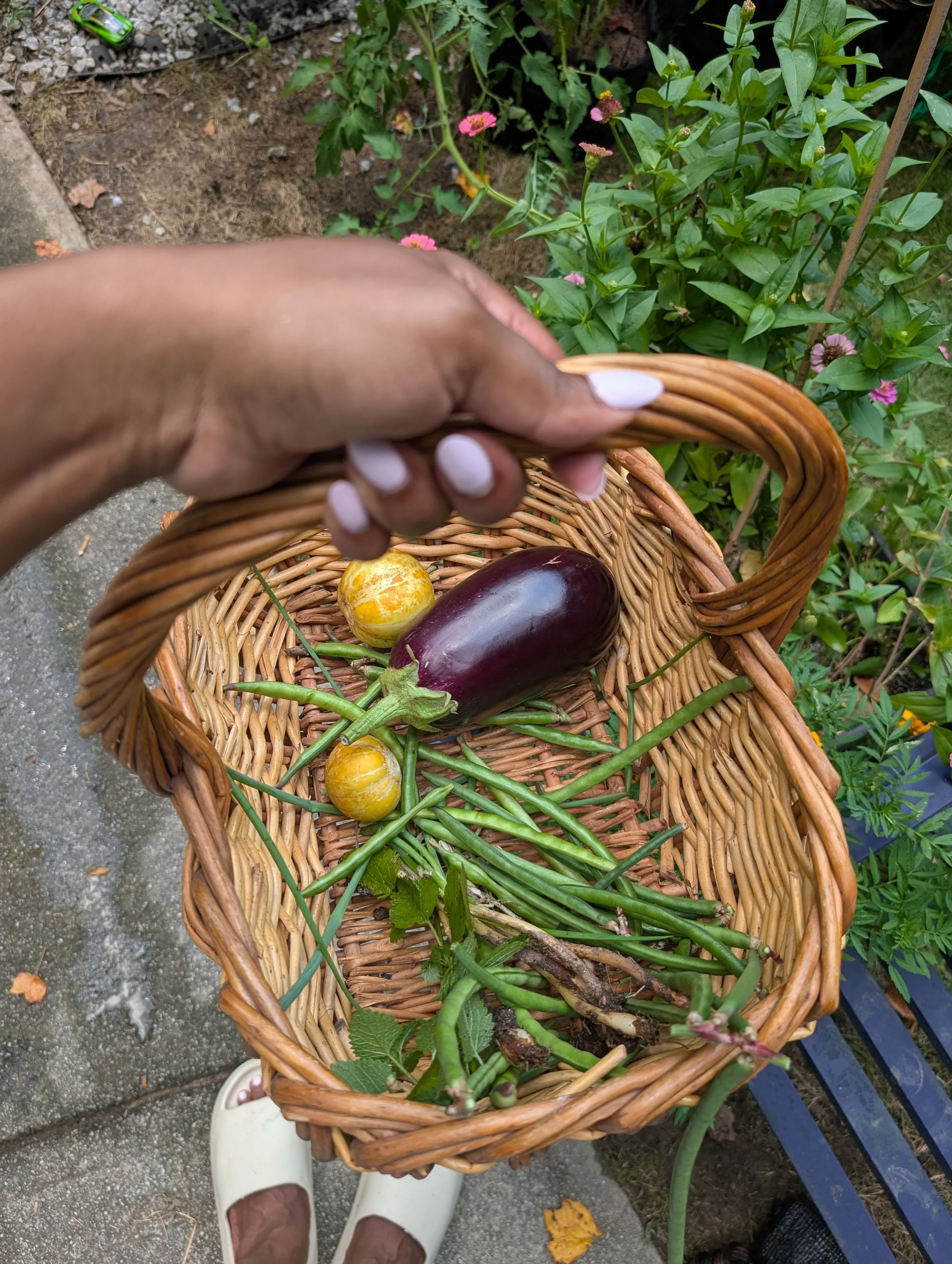 Top view of a person holding a wicker basket with eggplants and yellow vegetables, surrounded by plants and flowers in a garden.