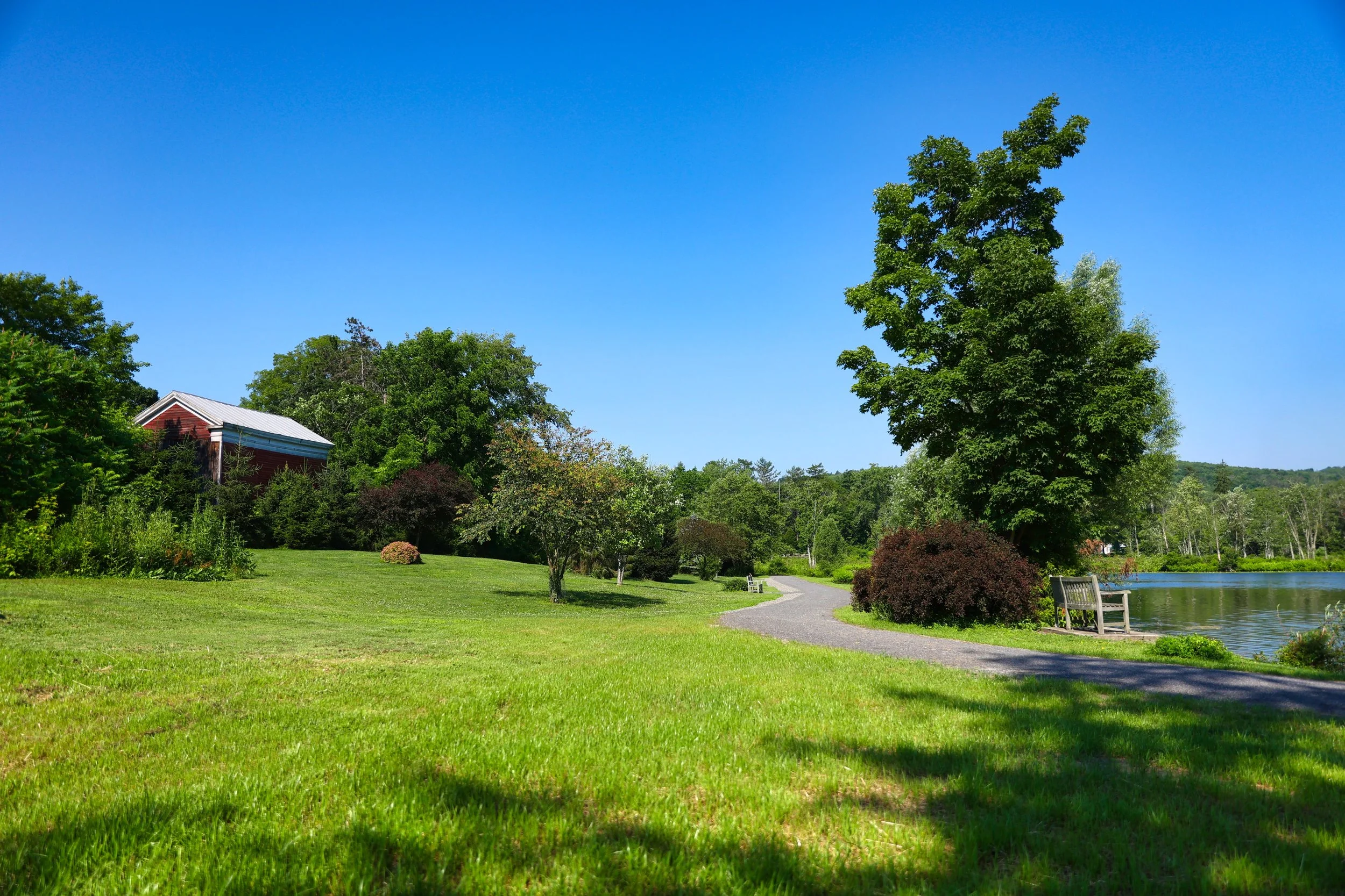 Nichols Pond Park - Spencer, NY