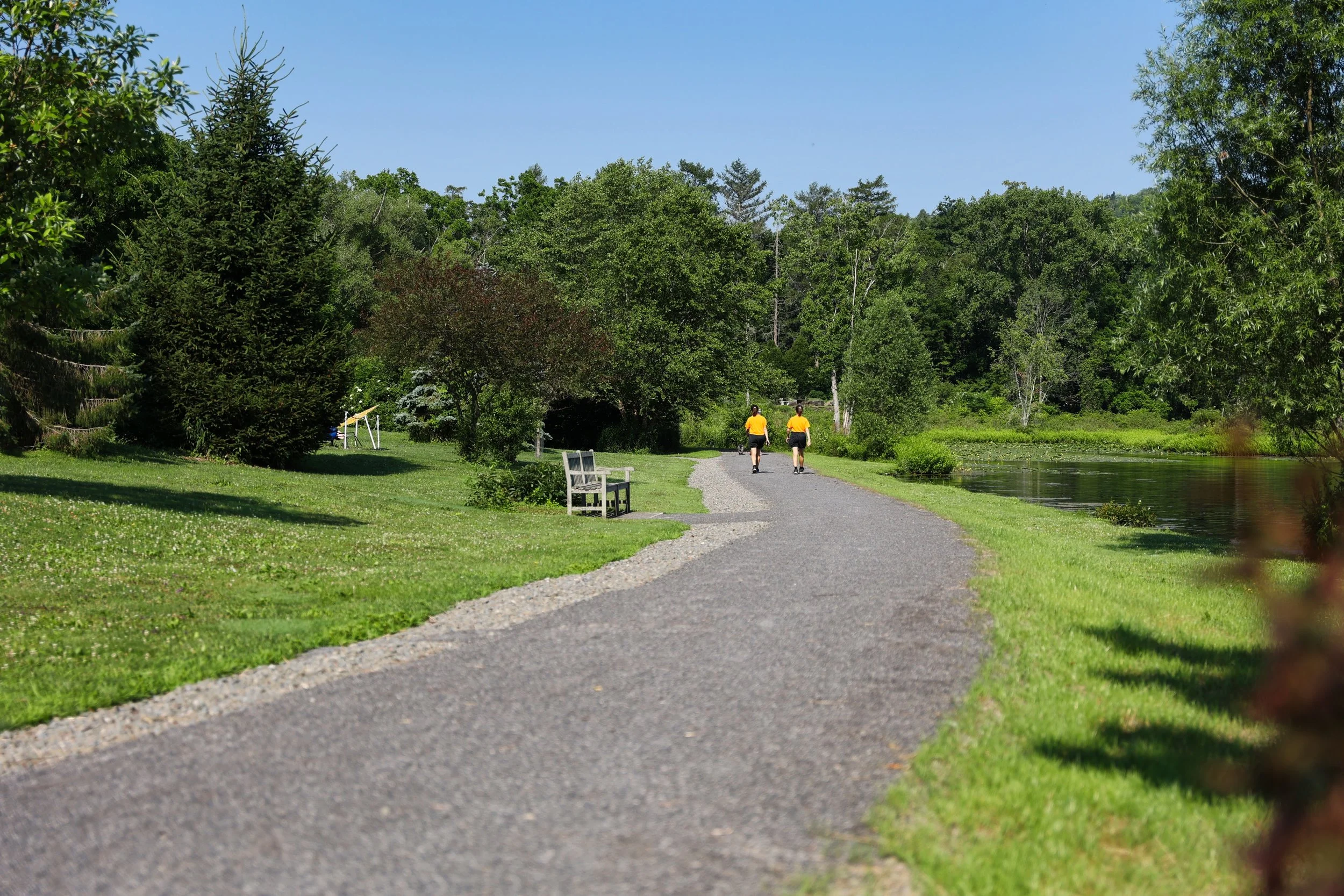 Nichols Pond Park - Spencer, NY