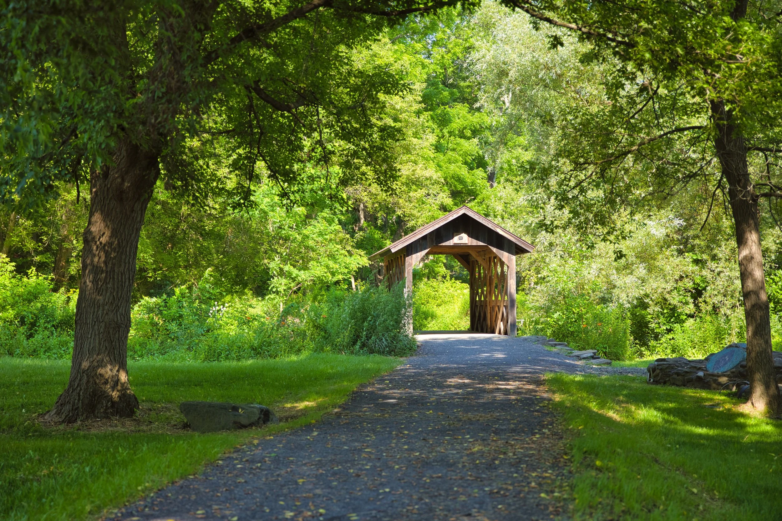 Nichols Pond Park - Spencer, NY
