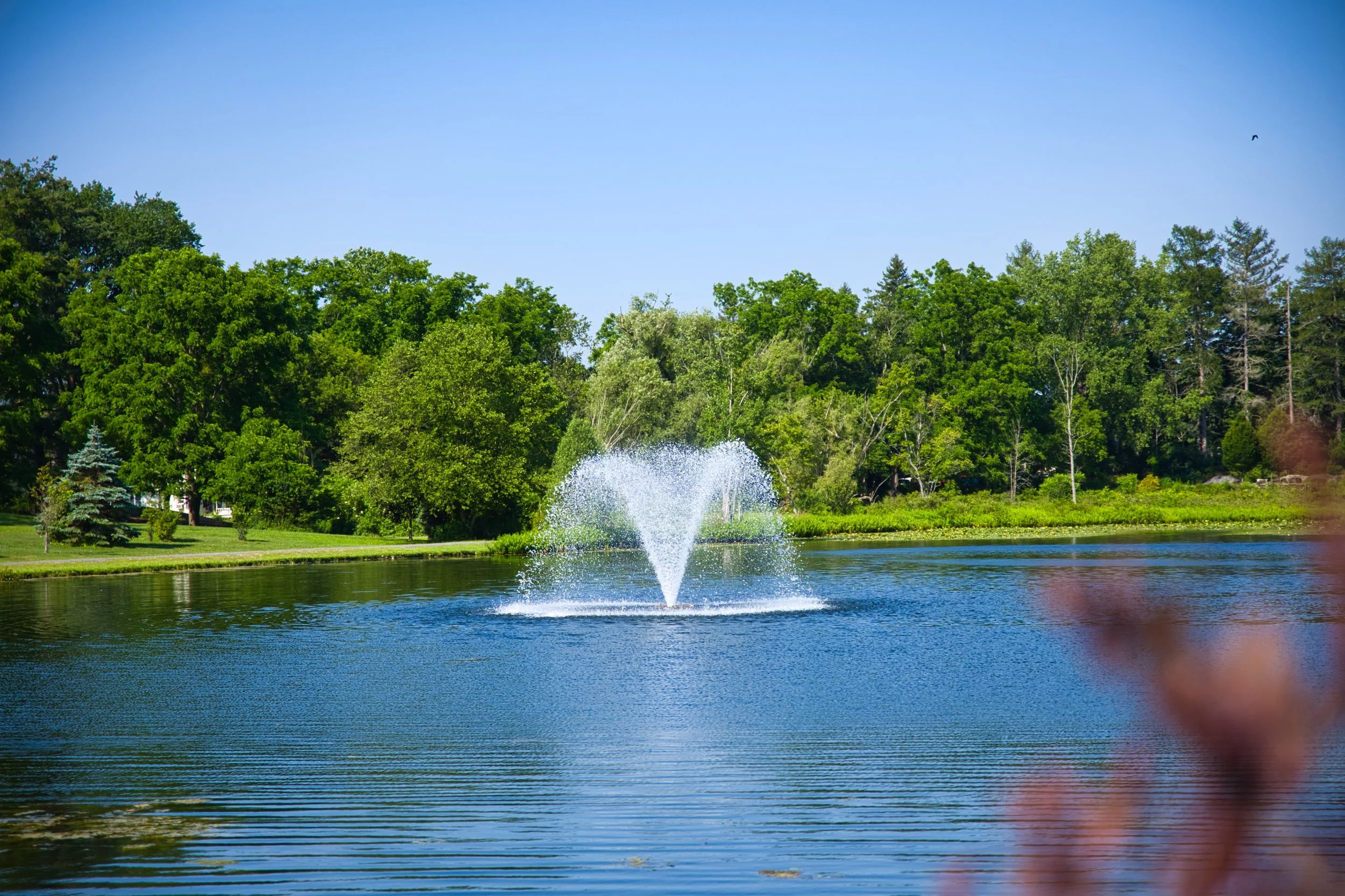 Nichols Pond Park - Spencer, NY