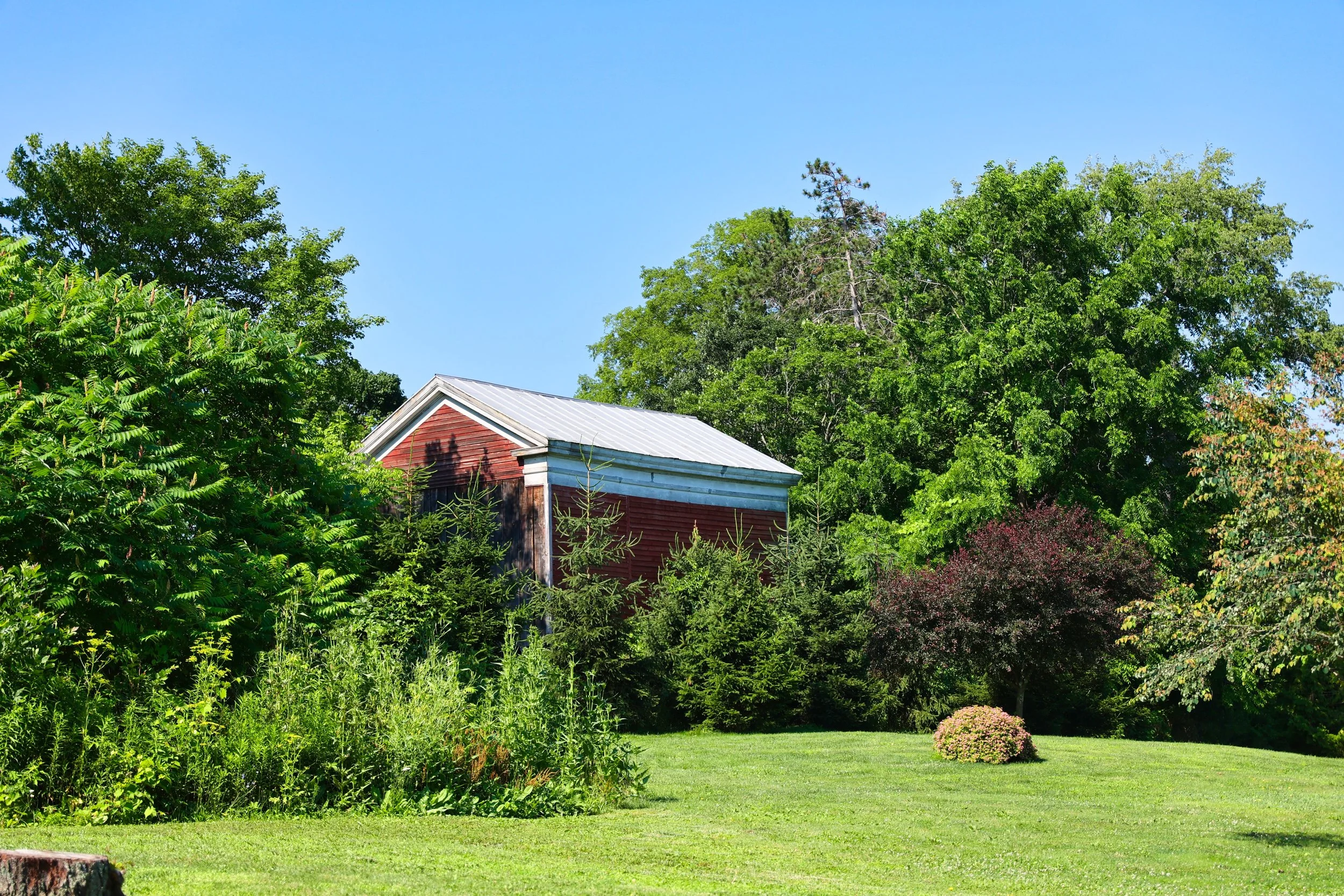 Nichols Pond Park - Spencer, NY