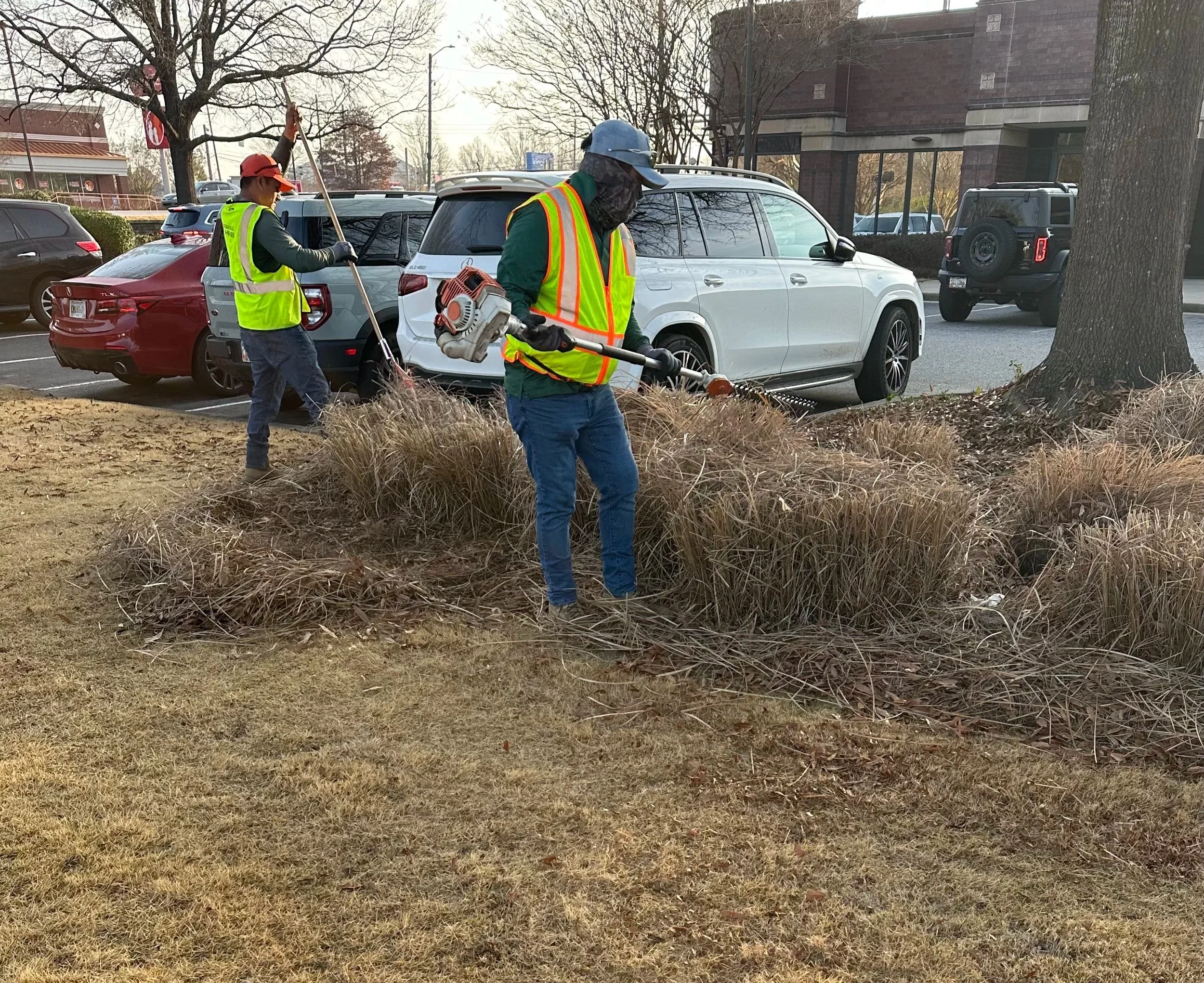 Quigley & Co. team member trimming hedges.