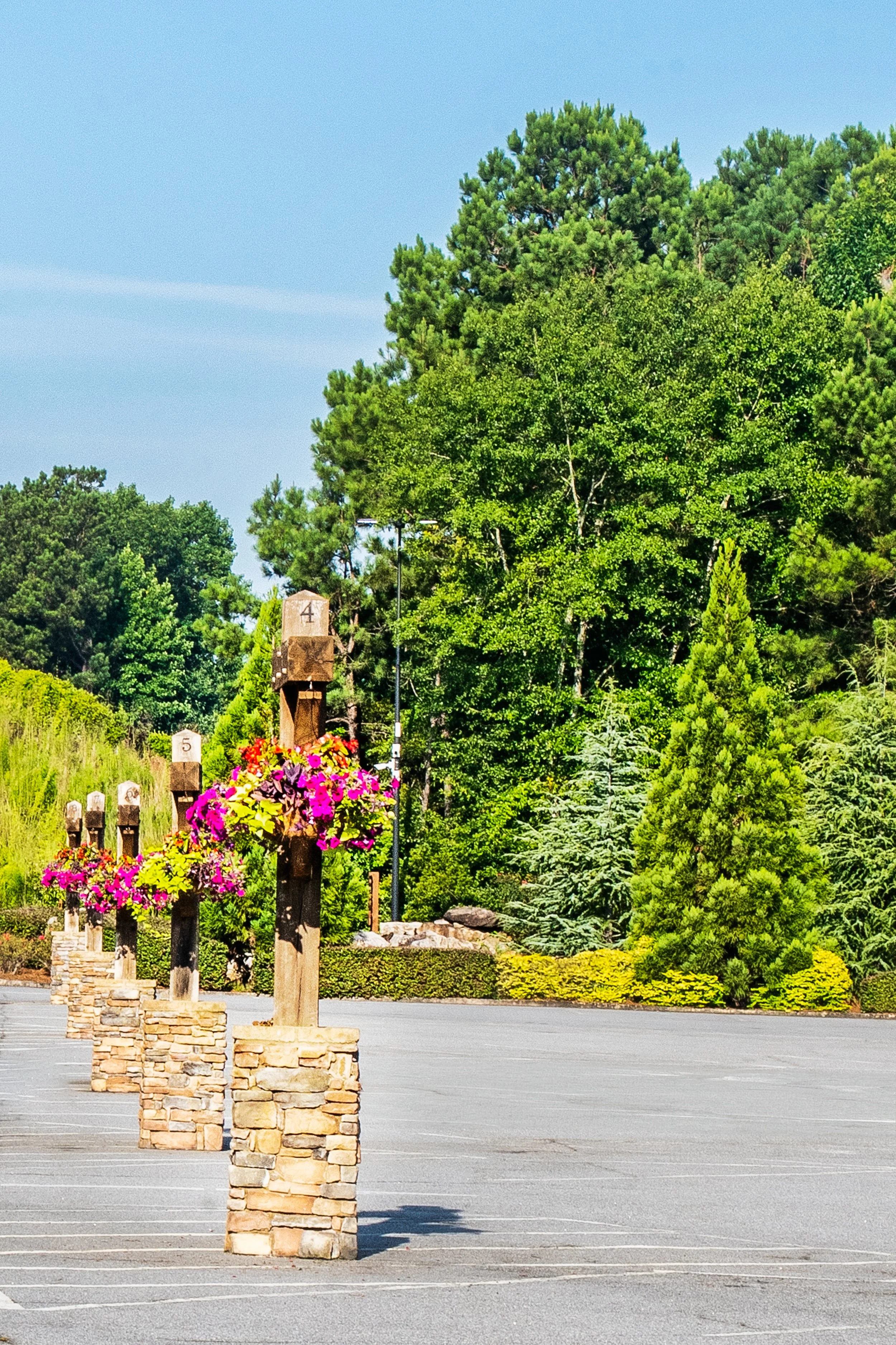 Enhancing landscaping by planting a tree.