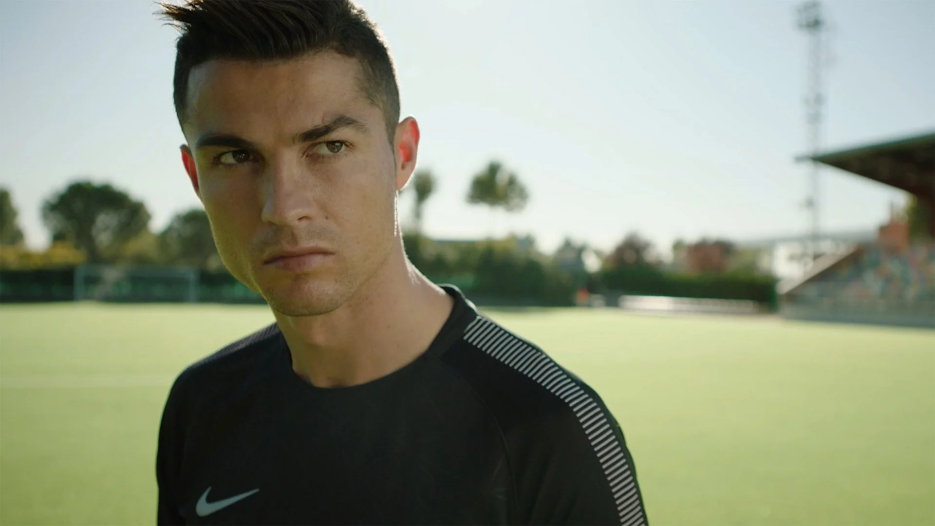  
 
Trailer
 
                                                      
Herbalife Pro2col
 
 