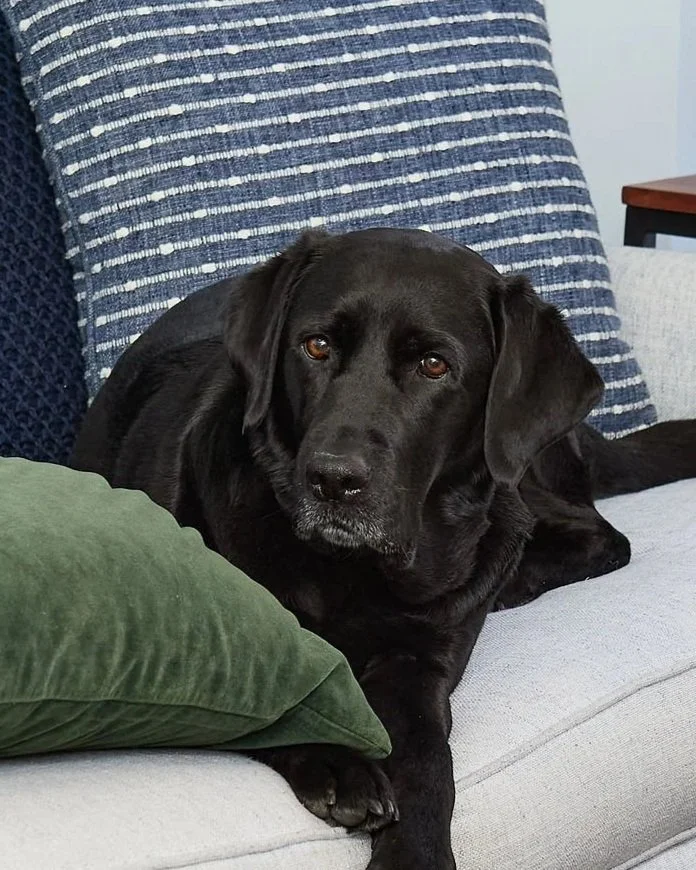 Penelope "Penny" French