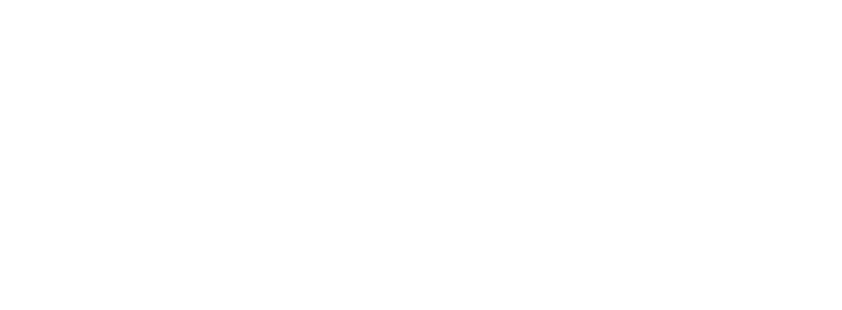 The Demographics Group