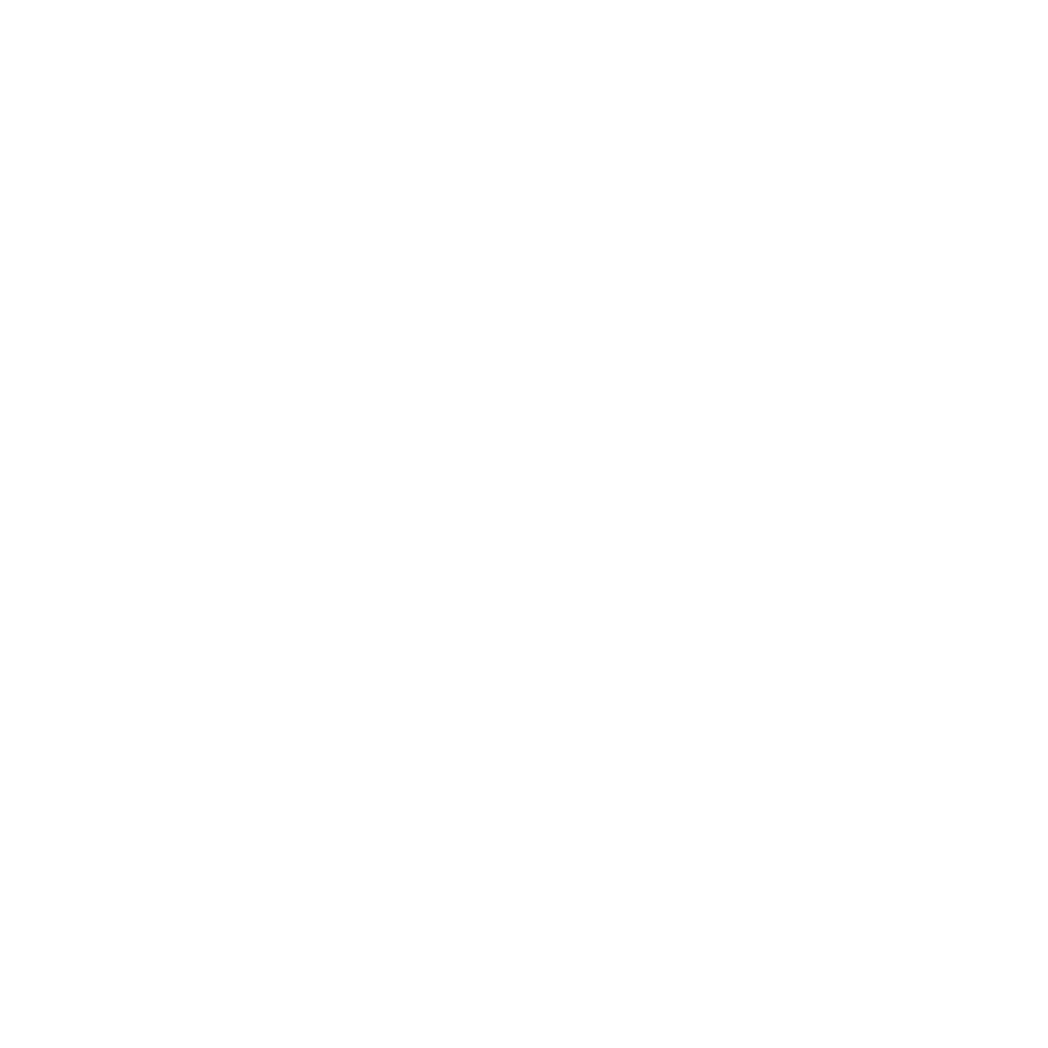 RIDETHEWAVE