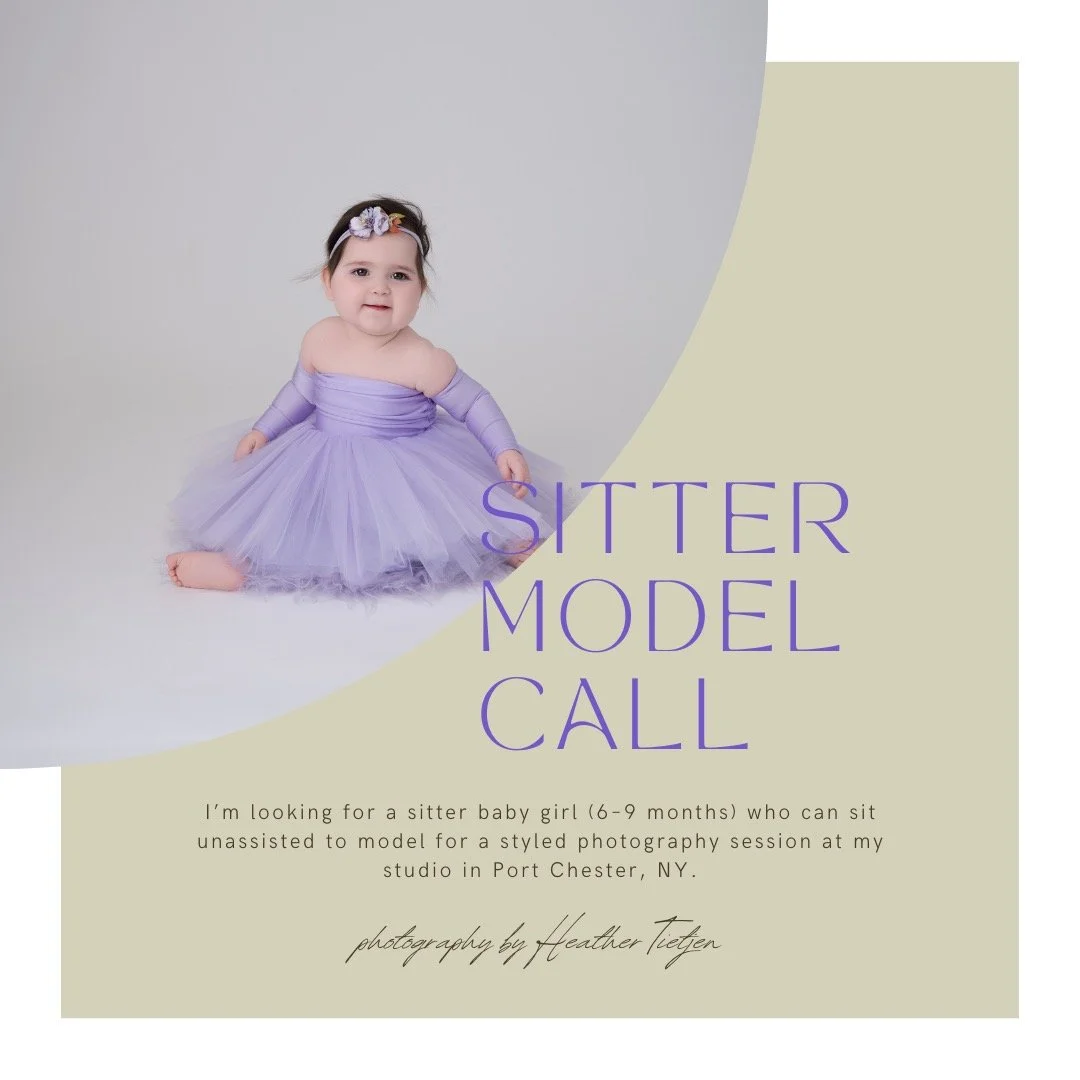 I&rsquo;m looking for a sitter baby girl (6&ndash;9 months) who can sit unassisted to model for a styled photography session at my studio in Port Chester, NY. This is a wonderful chance to capture adorable portraits while helping me create new portfo