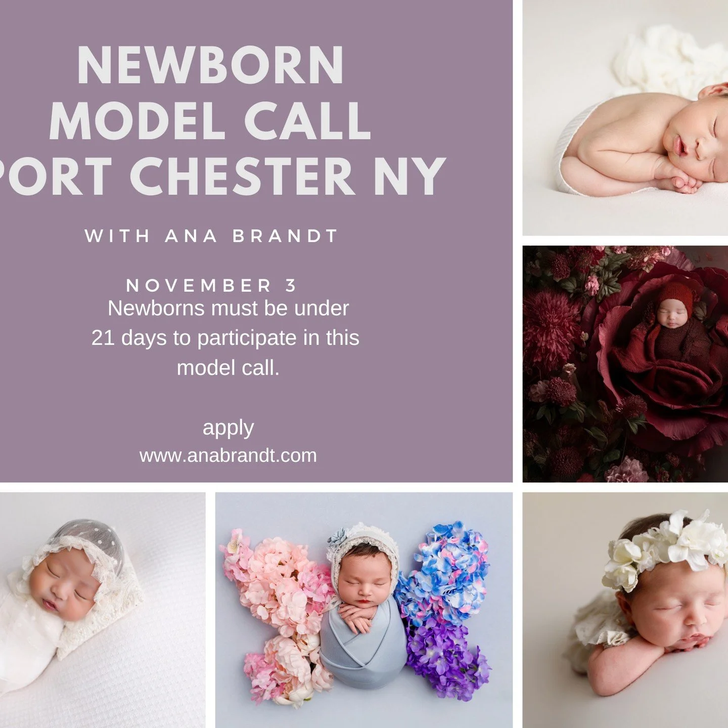 Where are all the newborns at? This will be Ana Brandt's last workshop of 2025 in NY!!!! So Mama's with newborns please go to my story to click the link to apply to be a model!!!!!
