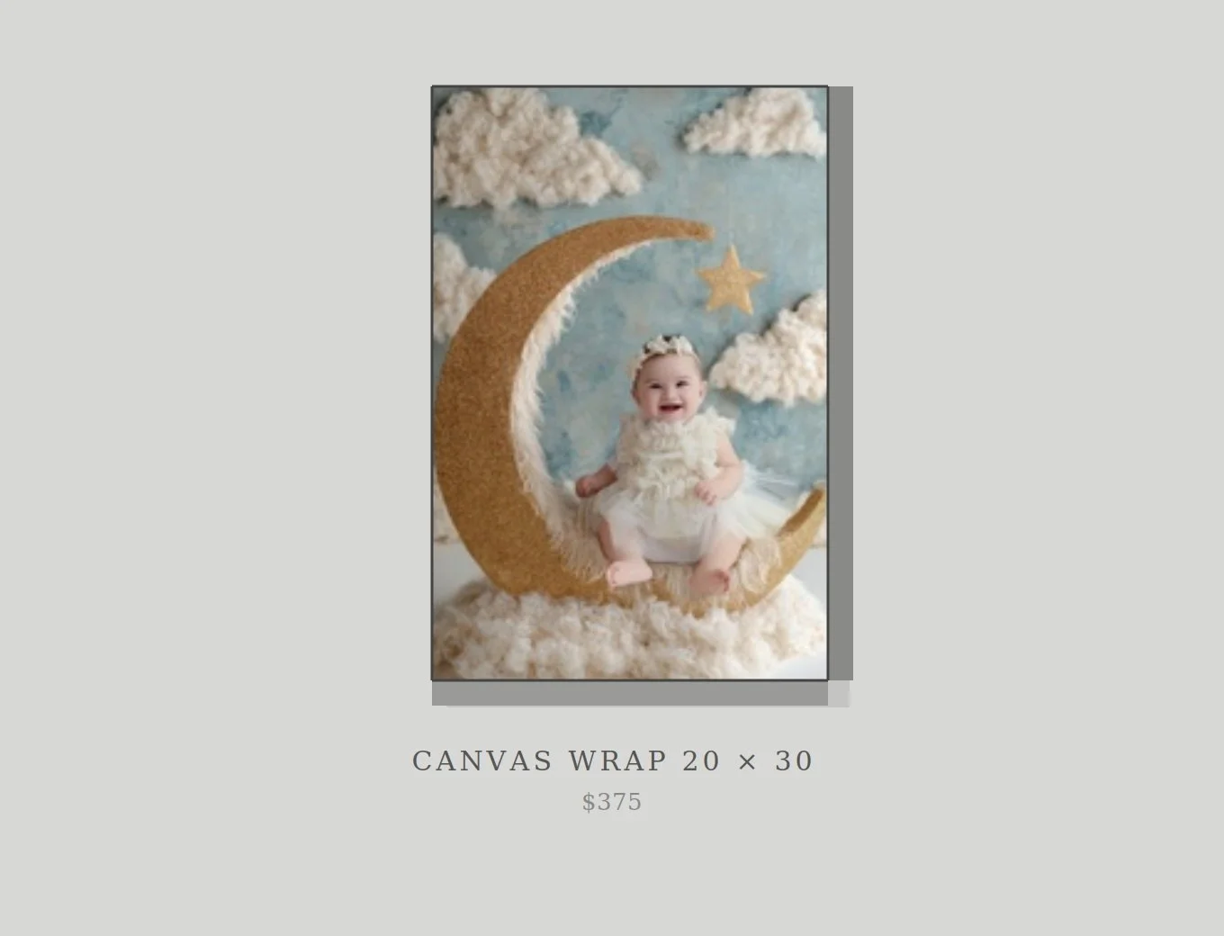 canvas_20x30_mockup.jpg