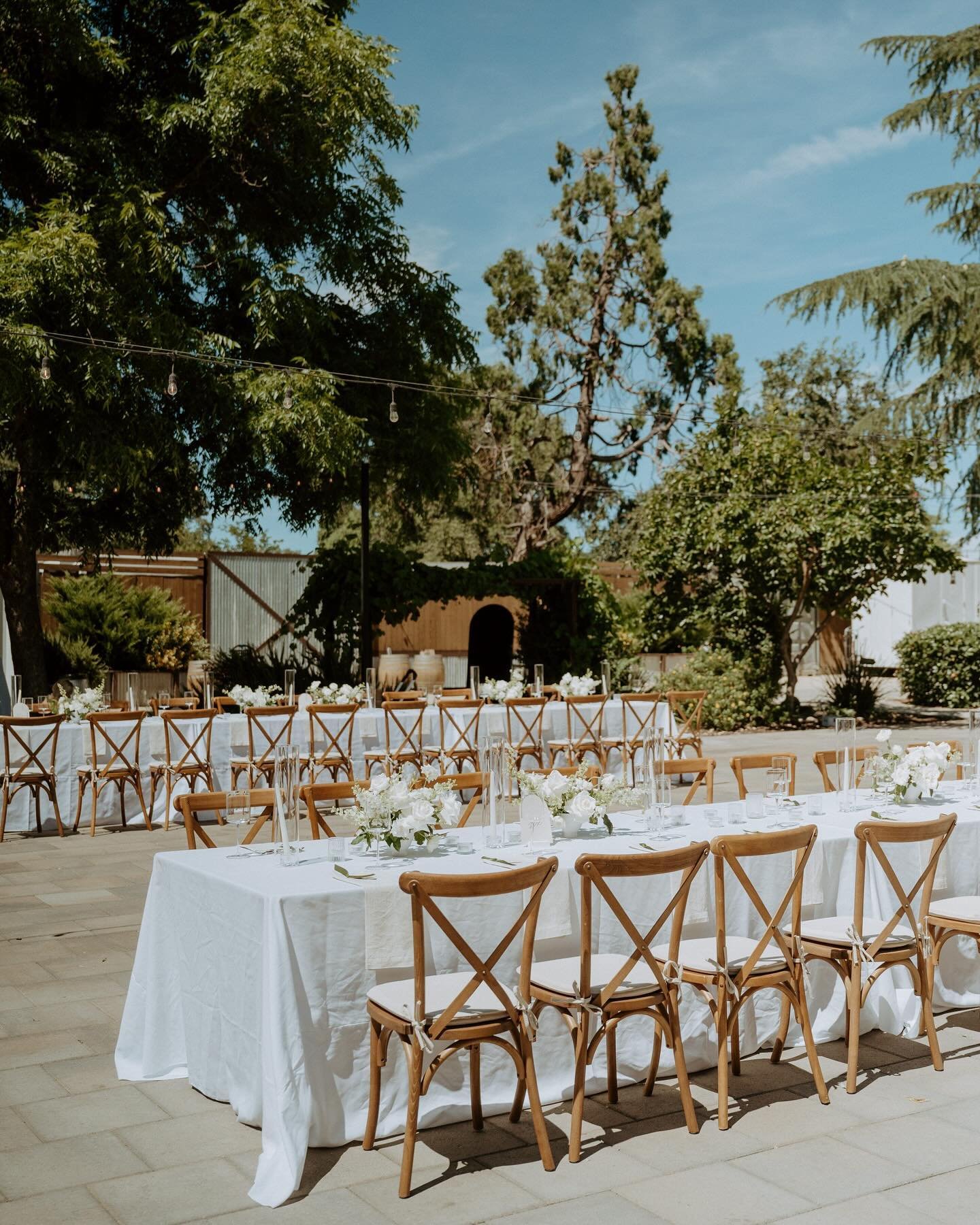 A celebration of love, laughter, and happily ever after