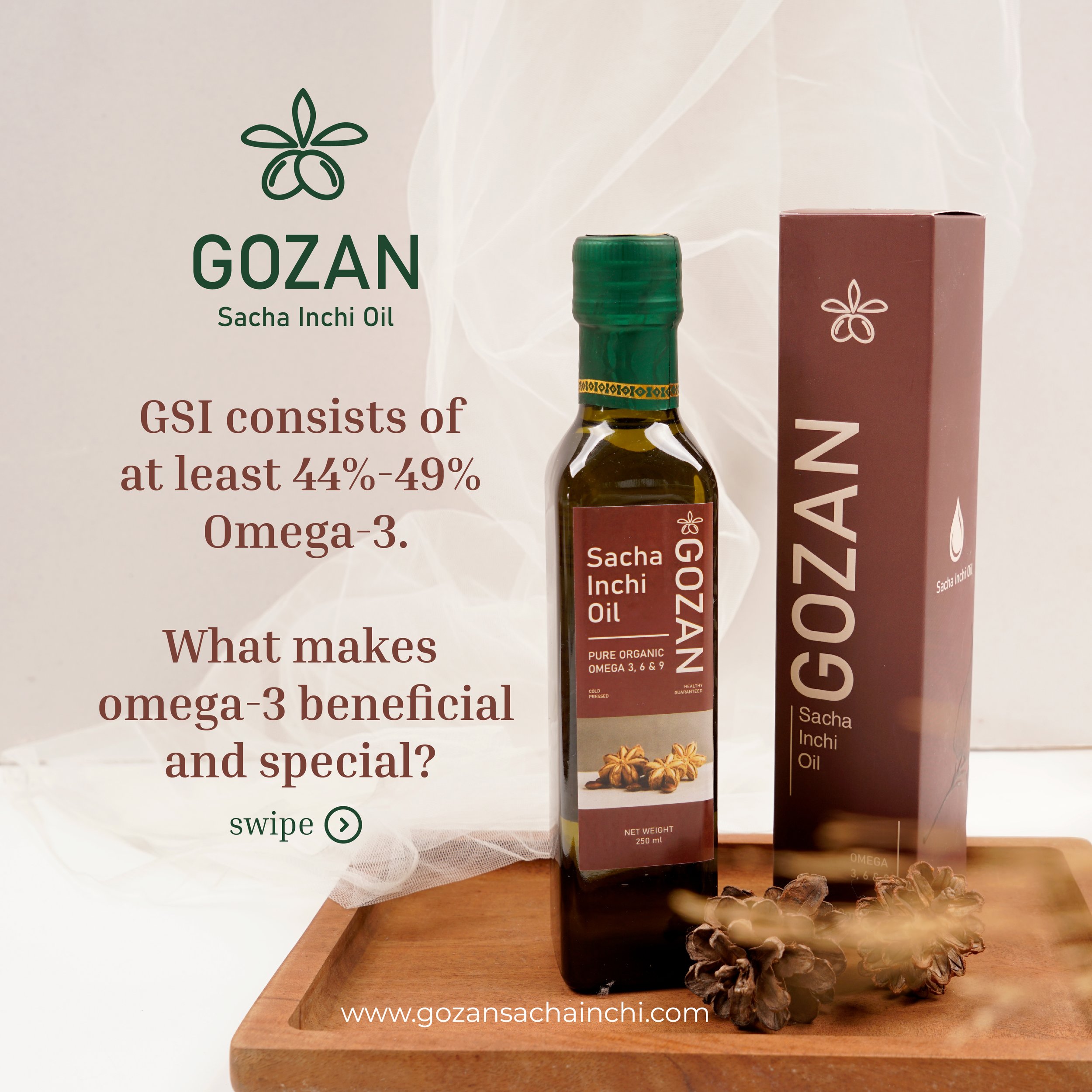 Gozan_Benefits Omega 3-01.jpg