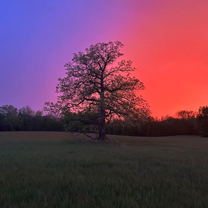 Spring and summer days with beautiful sunsets will be here in no time.

What is your favorite springtime activity?

Photo Credit: Wes Sanford