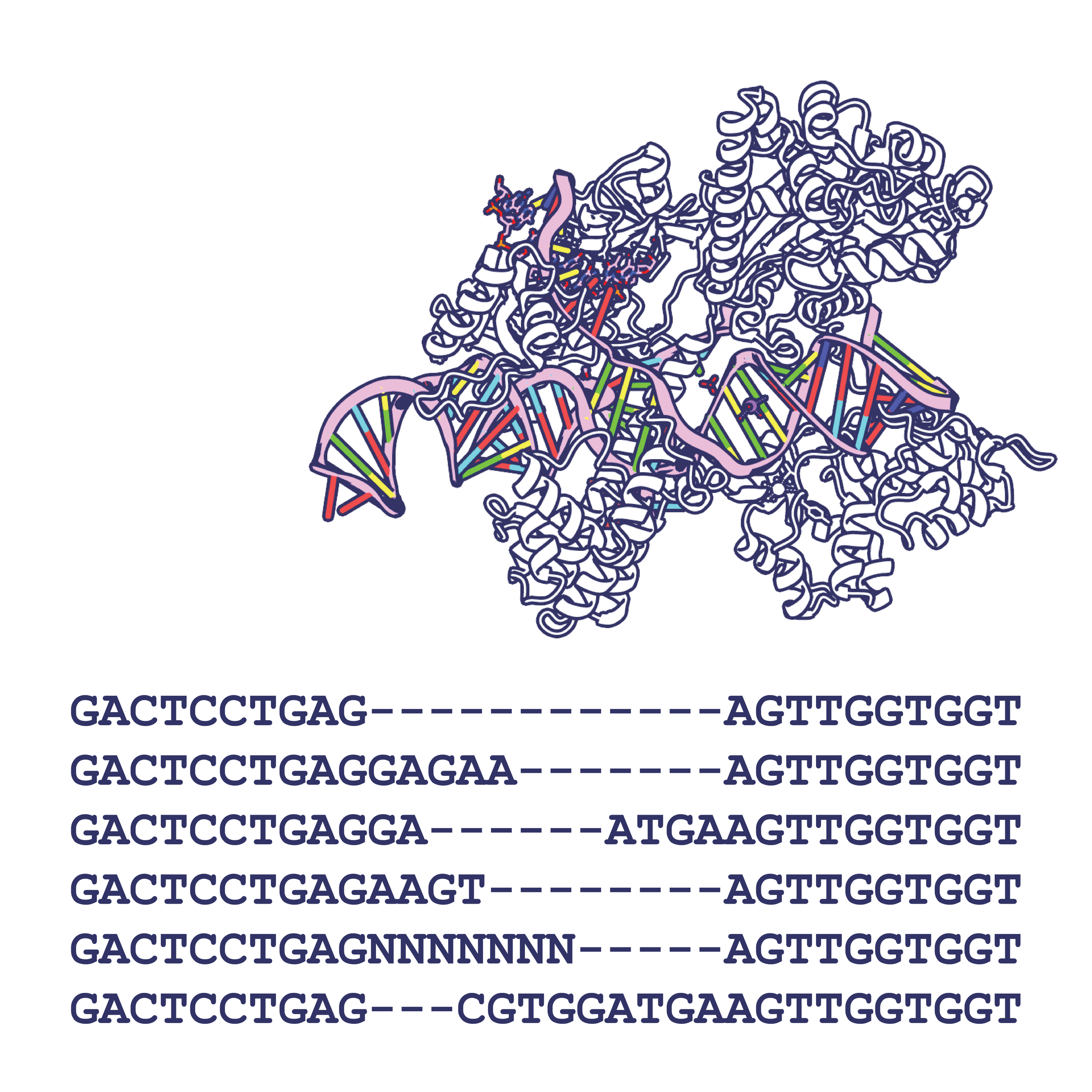 Cas9-01.png