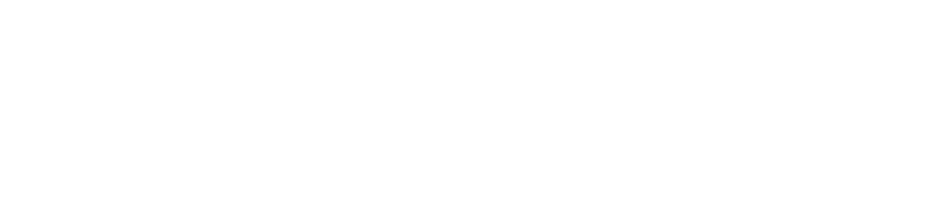 The Conscious Festival