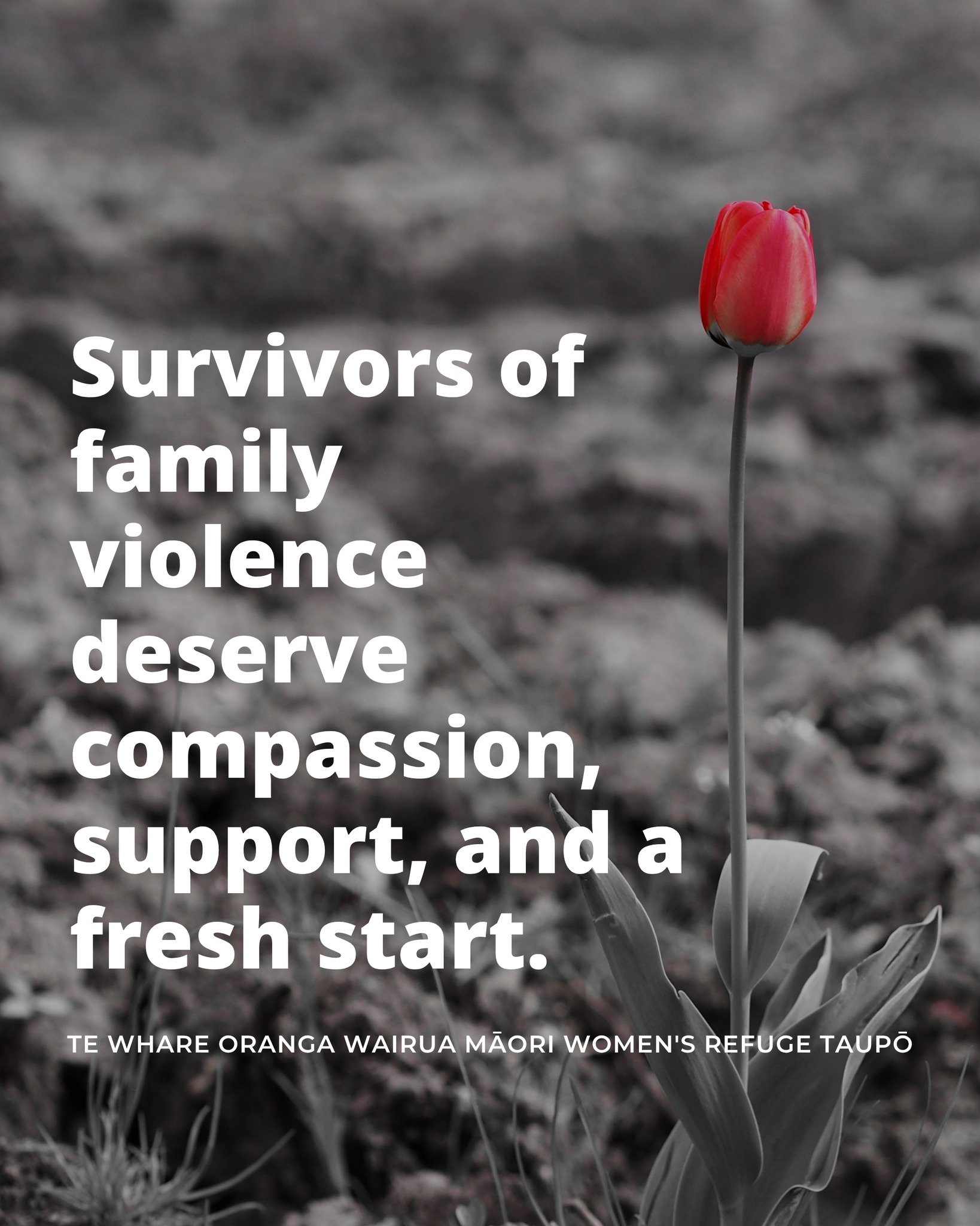 Survivors of family violence deserve compassion, support, and a fresh start. Reach out to us today, lend a listening ear, and show kindness to those affected.