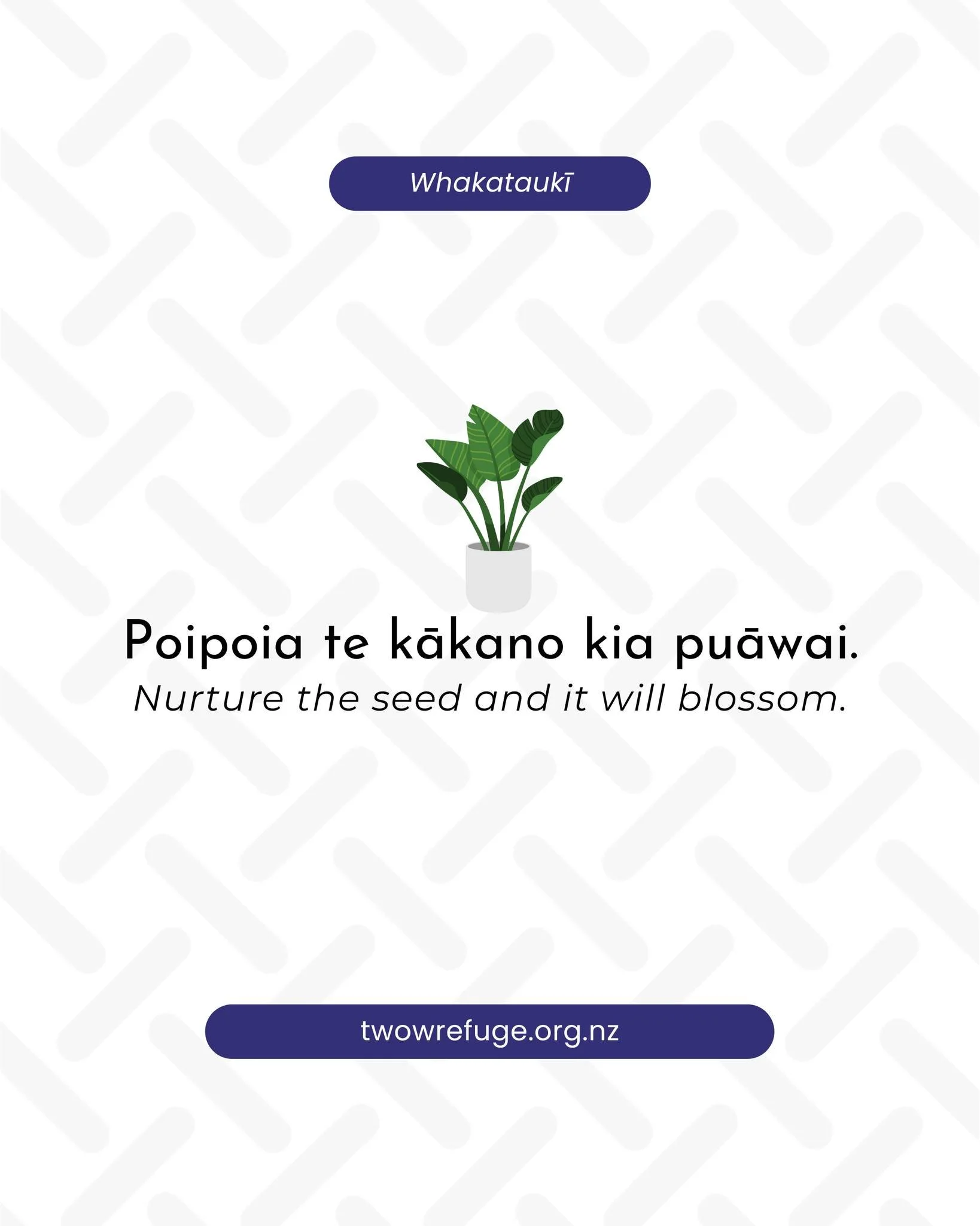 ✨ Whakatauākī o te Marama ✨

Poipoia te kākano kia puāwai. Nurture the seed and it will blossom.

www.twowrefuge.org.nz