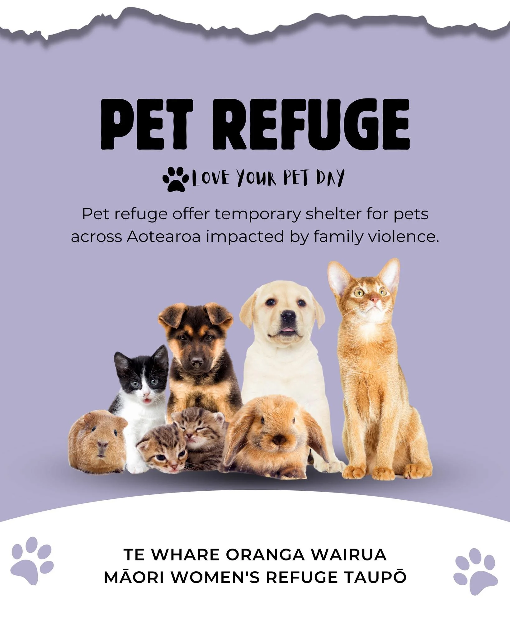 For many families, pets are part of the whānau. This Love Your Pet Day, celebrate by supporting initiatives like Pet Refuge NZ that help pets stay safe through tough times. 🐶  For more info visit www.petrefuge.org.nz