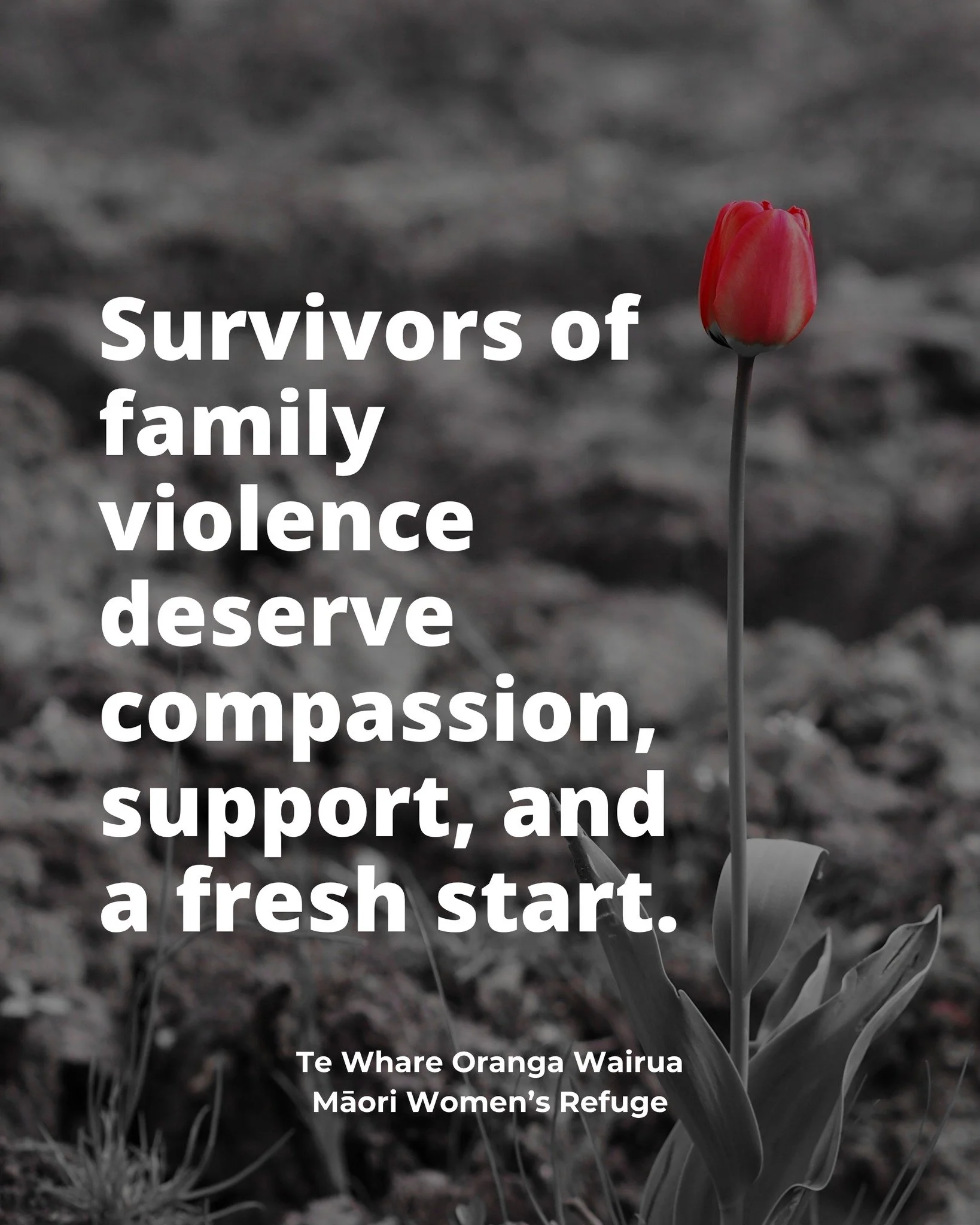 Survivors of family violence deserve compassion, support, and a fresh start. Reach out to local resources, lend a listening ear, and show kindness to those affected. 

twowrefuge.org.nz