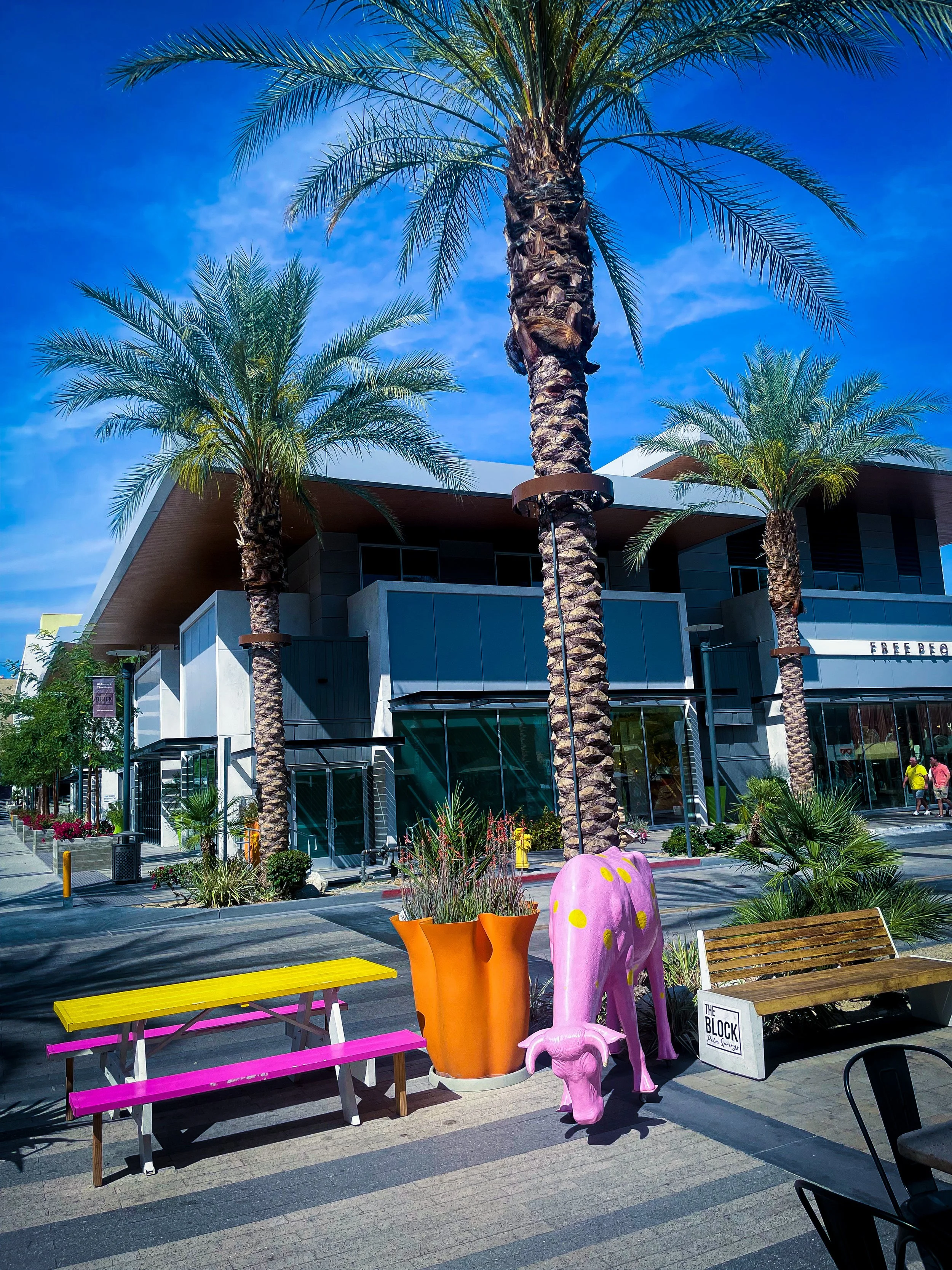 palmsprings.jpg