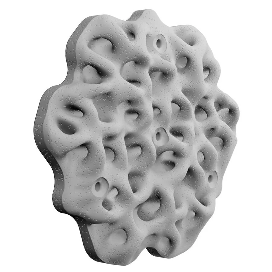 PRODUCTS_LIVING SEAWALLS_KELP HOLDFAST.jpg