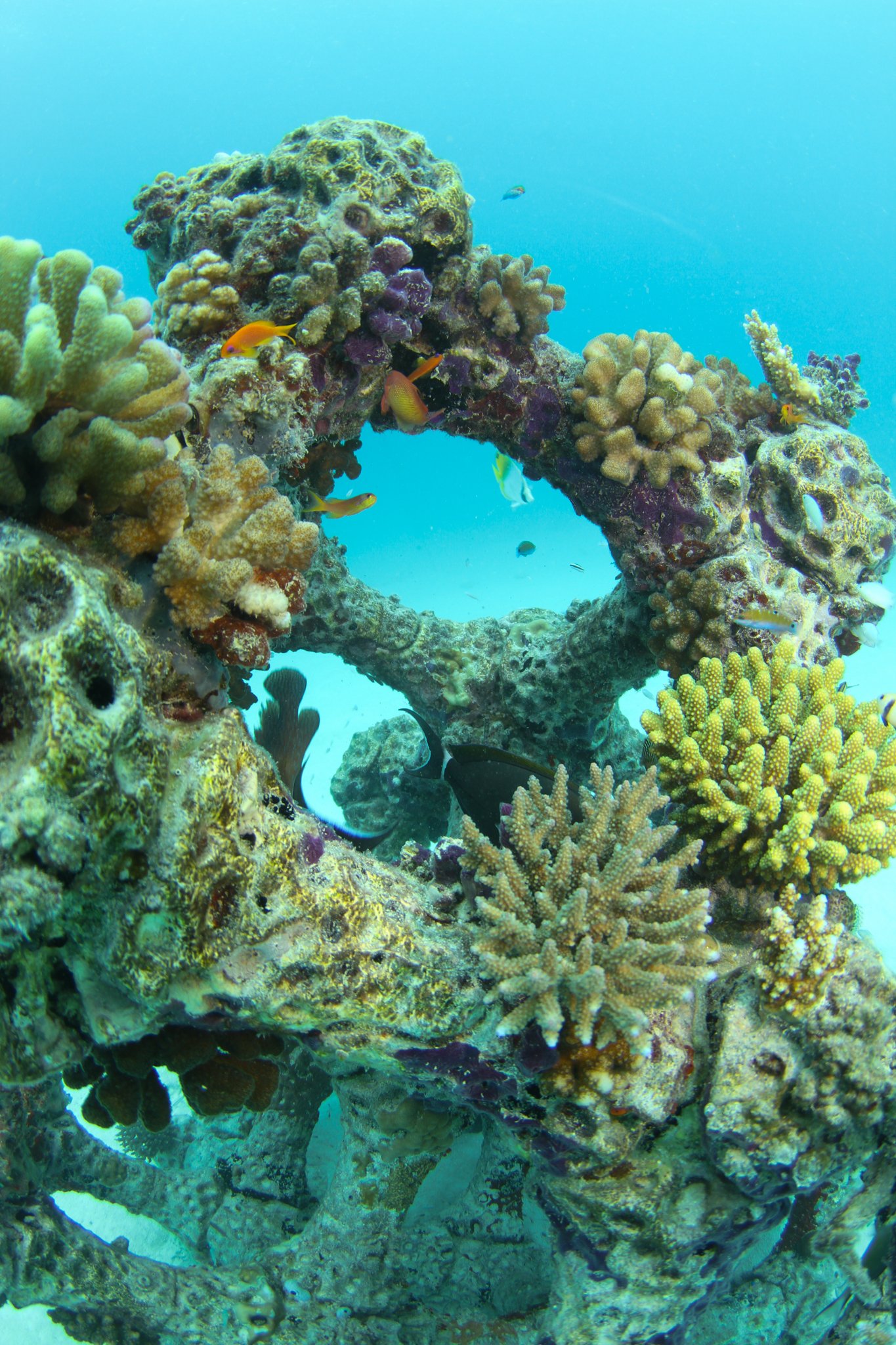 Modular Artificial Reef Structure (MARS)