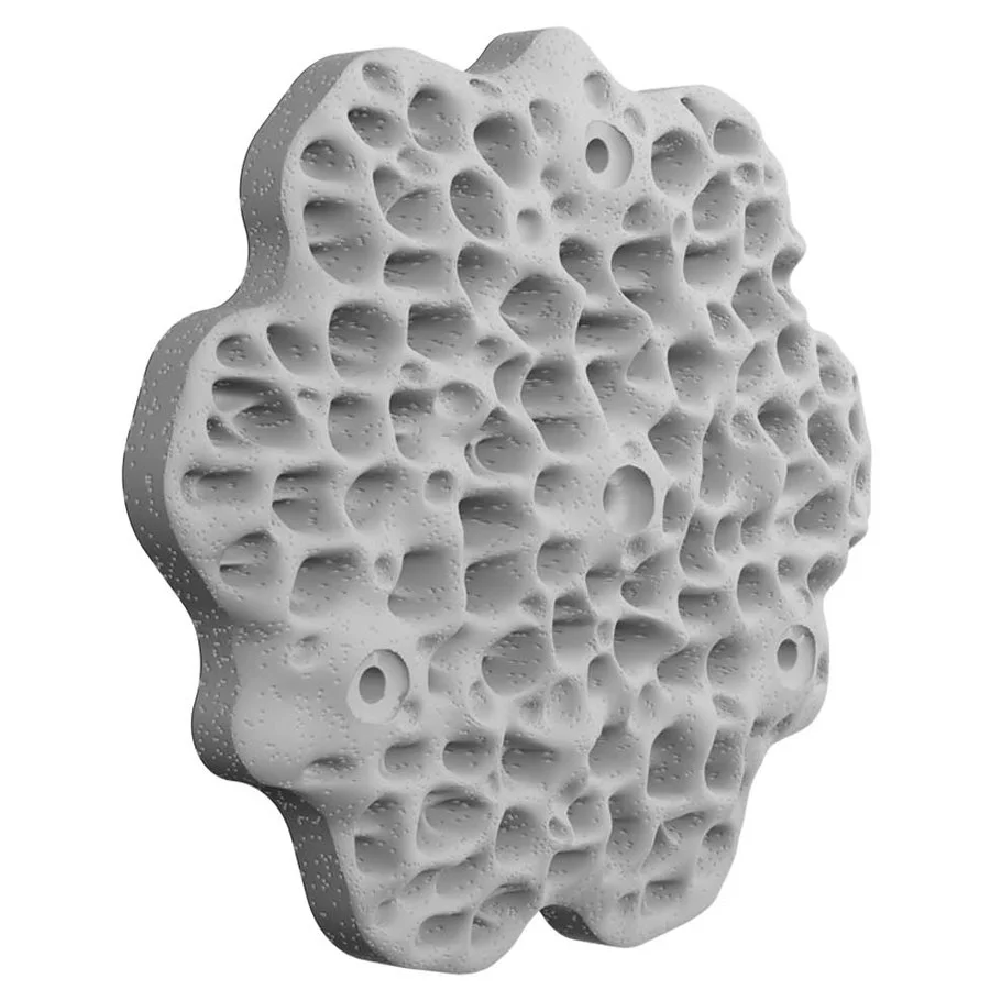 PRODUCTS_LIVING SEAWALLS_HONEYCOMB.jpg