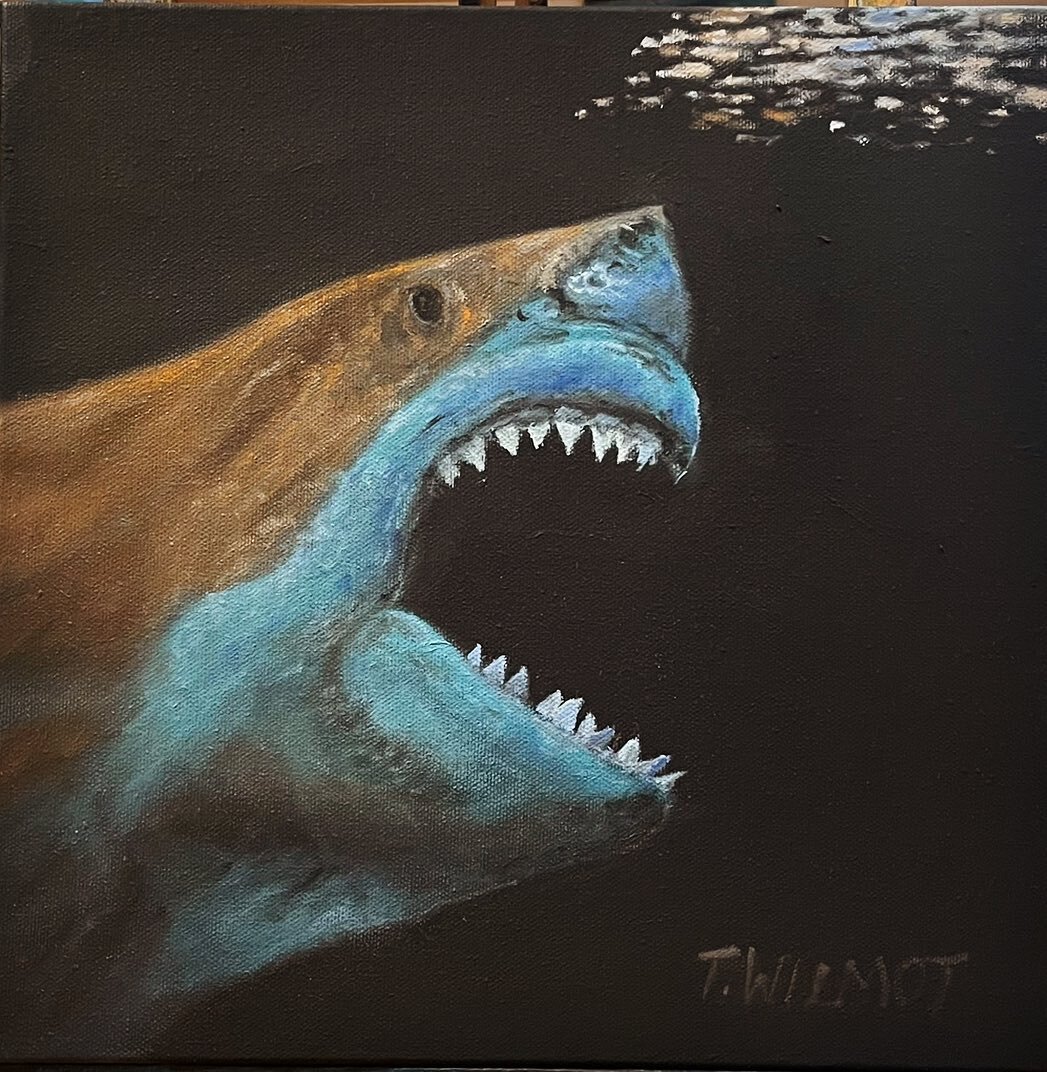 Was going to keep going on this little 30x30cm shark piece but I realised I actually like the &ldquo;photo negative&rdquo; look of it 
#shark #sharkweek #greatwhiteshark #paintingnature #ontheeasel #perthartist #oiloncanvas #ocean #marineart