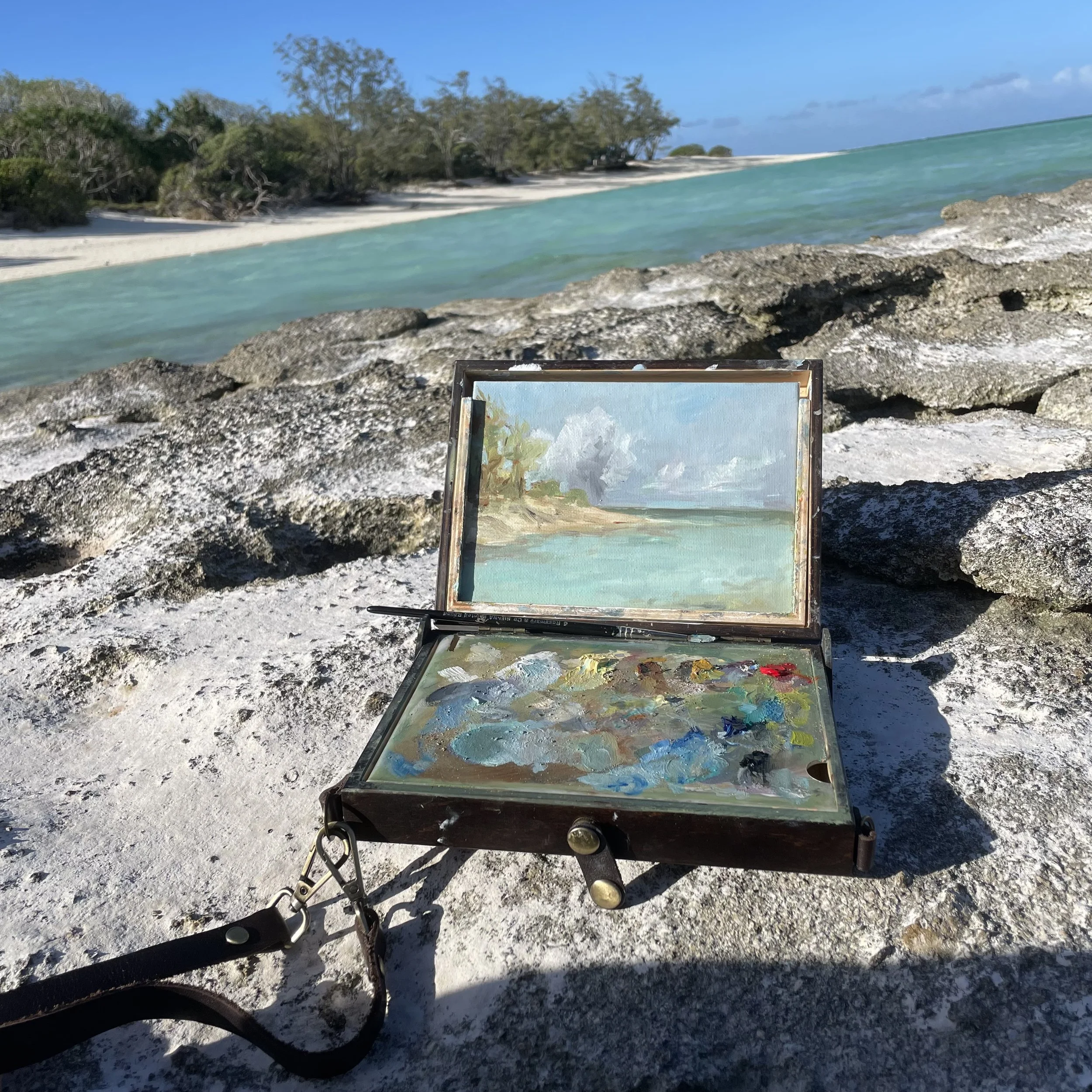 Heron Island, Shark Bay