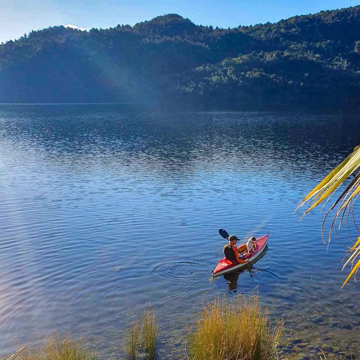 Goodbye long weekend, it&rsquo;s been fun!
.
.
.
.
.
.
#lake #lakelife #lakepoerua #lakeside #nz #nzholidayhomes #southisland #newzealand #southislandnz #westcoast #westcoastnz #thebachnz #holidayrental #Bach #dogsofinstagram #jackrusselllove #jackru