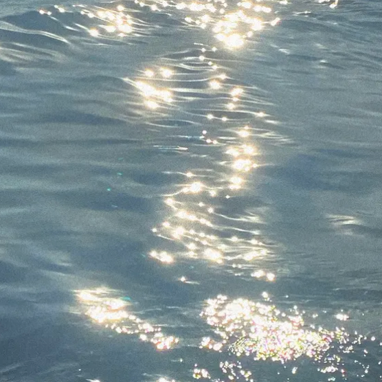 Sunlight reflections on the surface of a body of water.