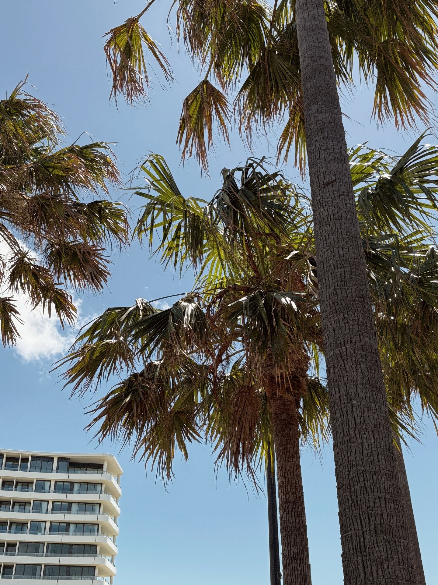 Do you recognise this spot? 👀

It&rsquo;s the Shellharbour Marina and if you are from around here, you will want to keep reading! 👇🏽

If you and your mates are looking for something fun to do on the South Coast, you wont have to wait much longer. 