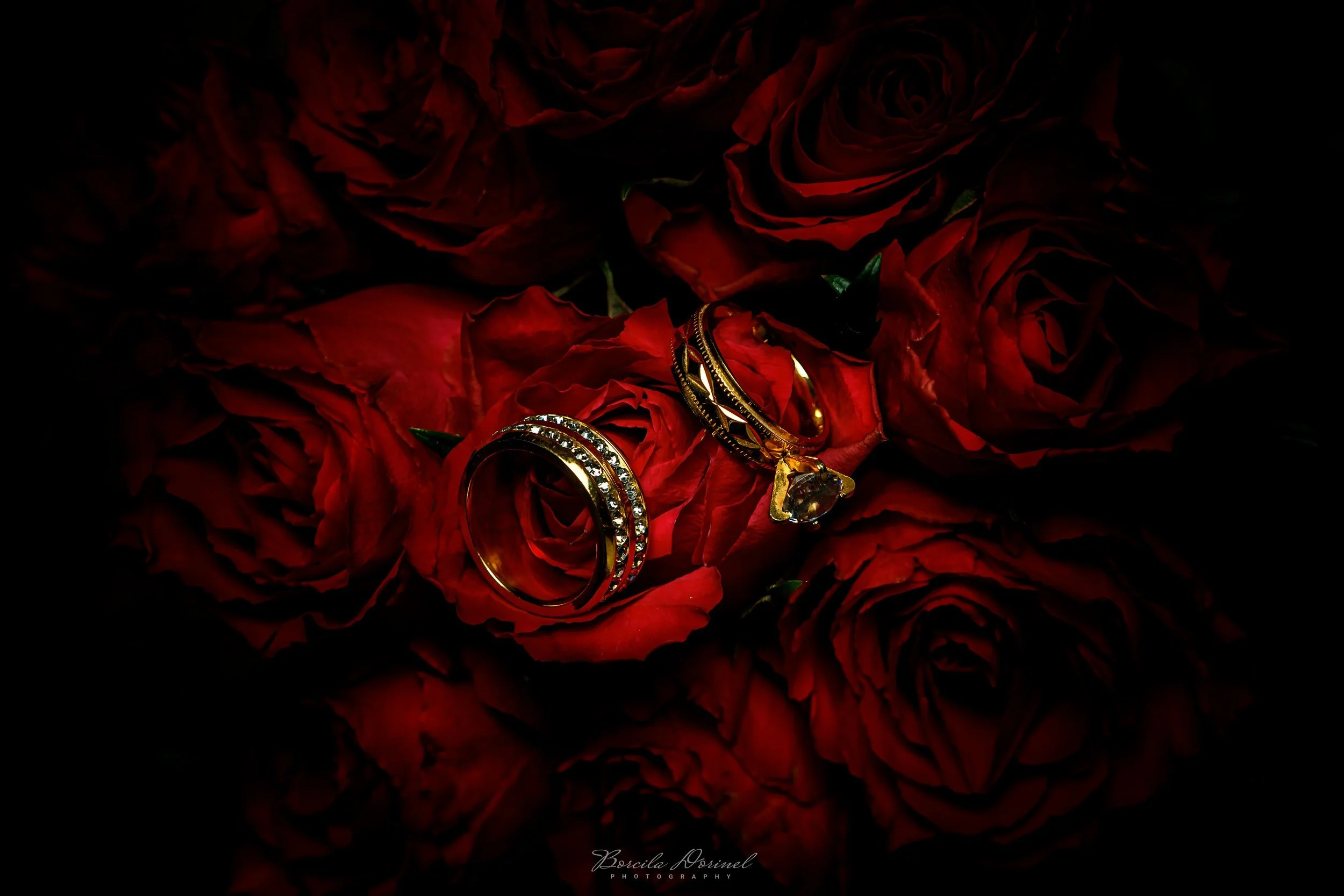 How to Tell Your Love Story Through Wedding Ring Photos-4