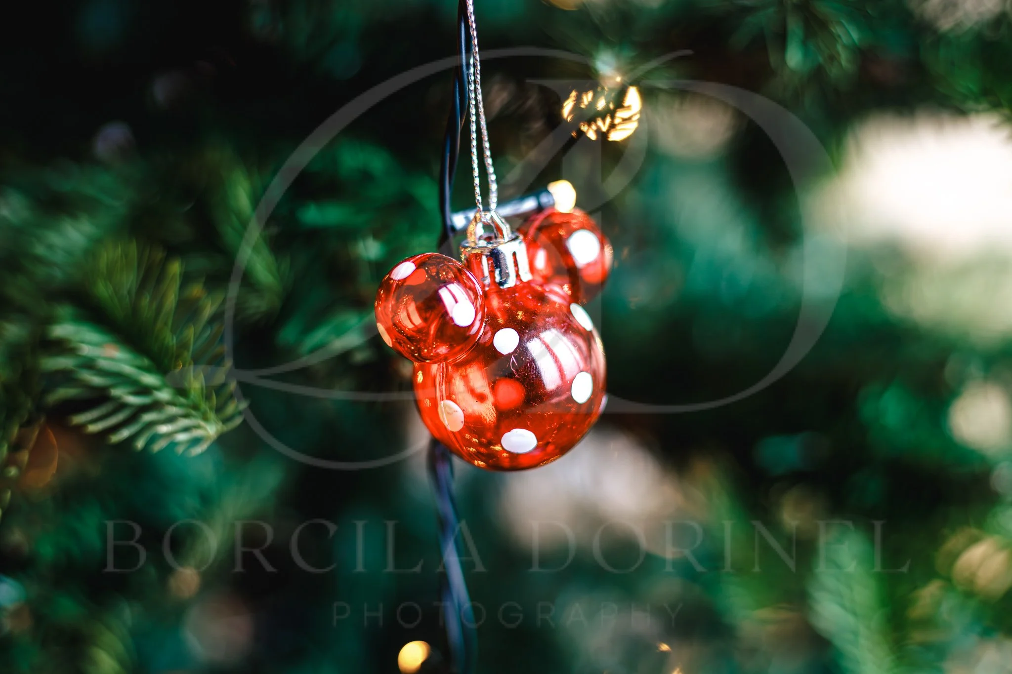 Professional Christmas photo suitable for Facebook banner design