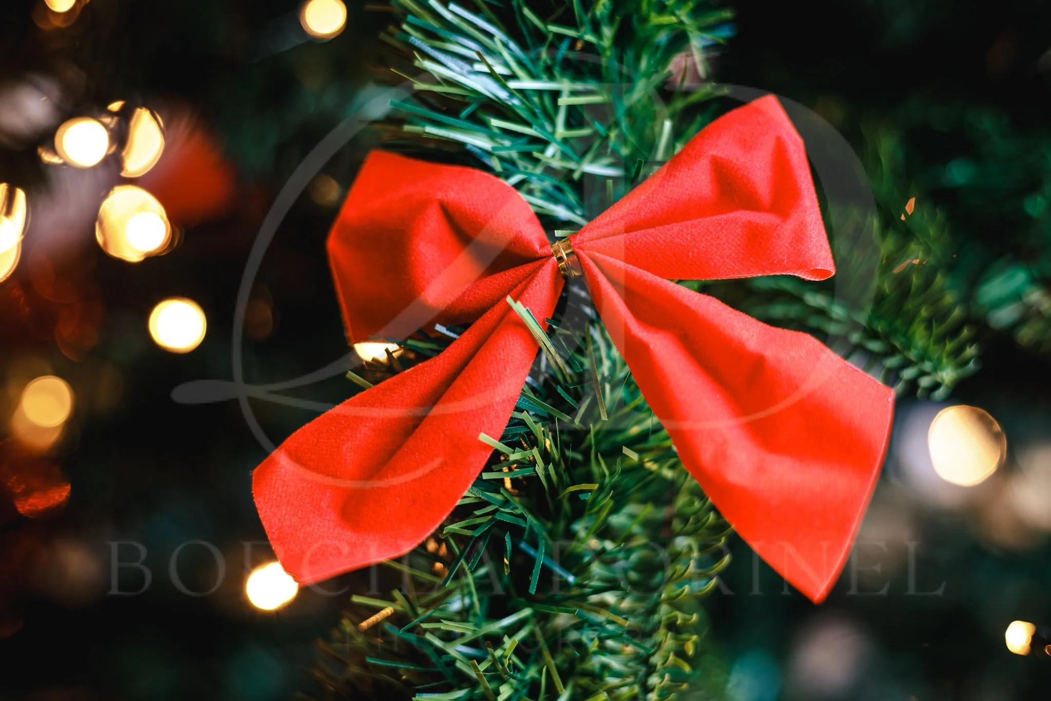 Stunning Christmas image to download for digital marketing