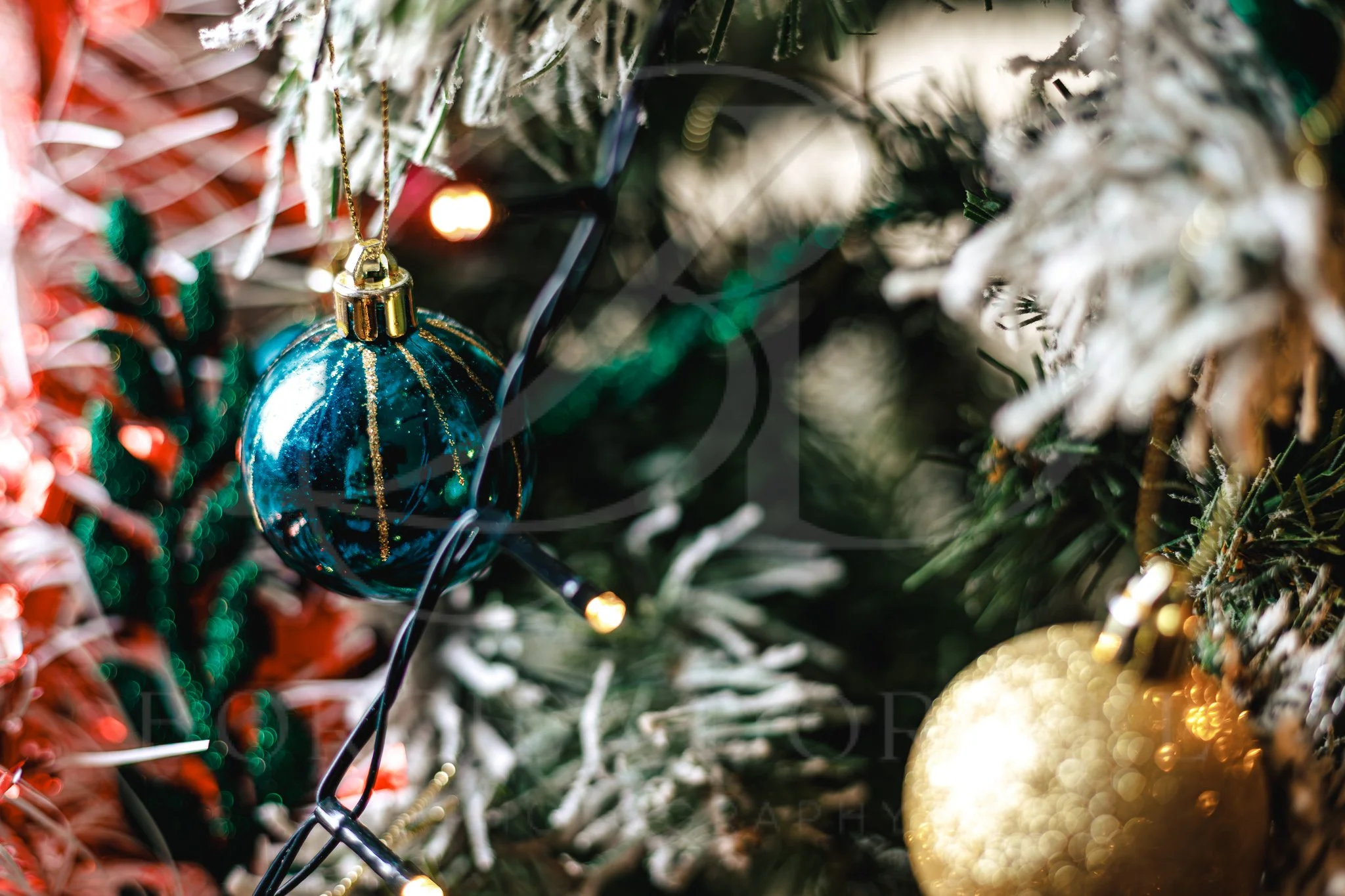 Professional Christmas stock photo with elegant festive background