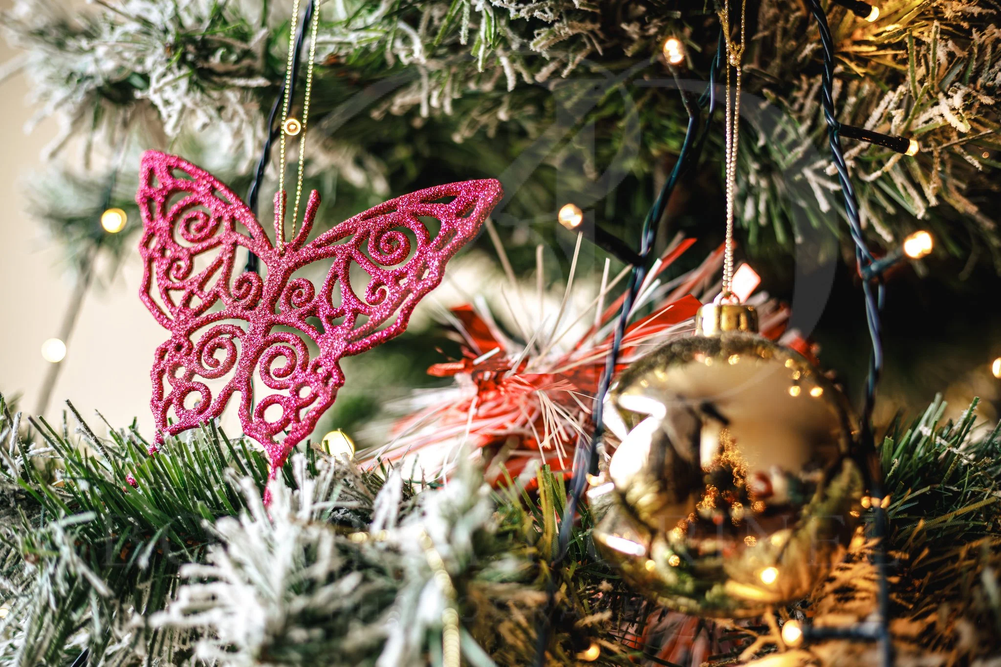 Christmas story photo with modern aesthetic holiday theme