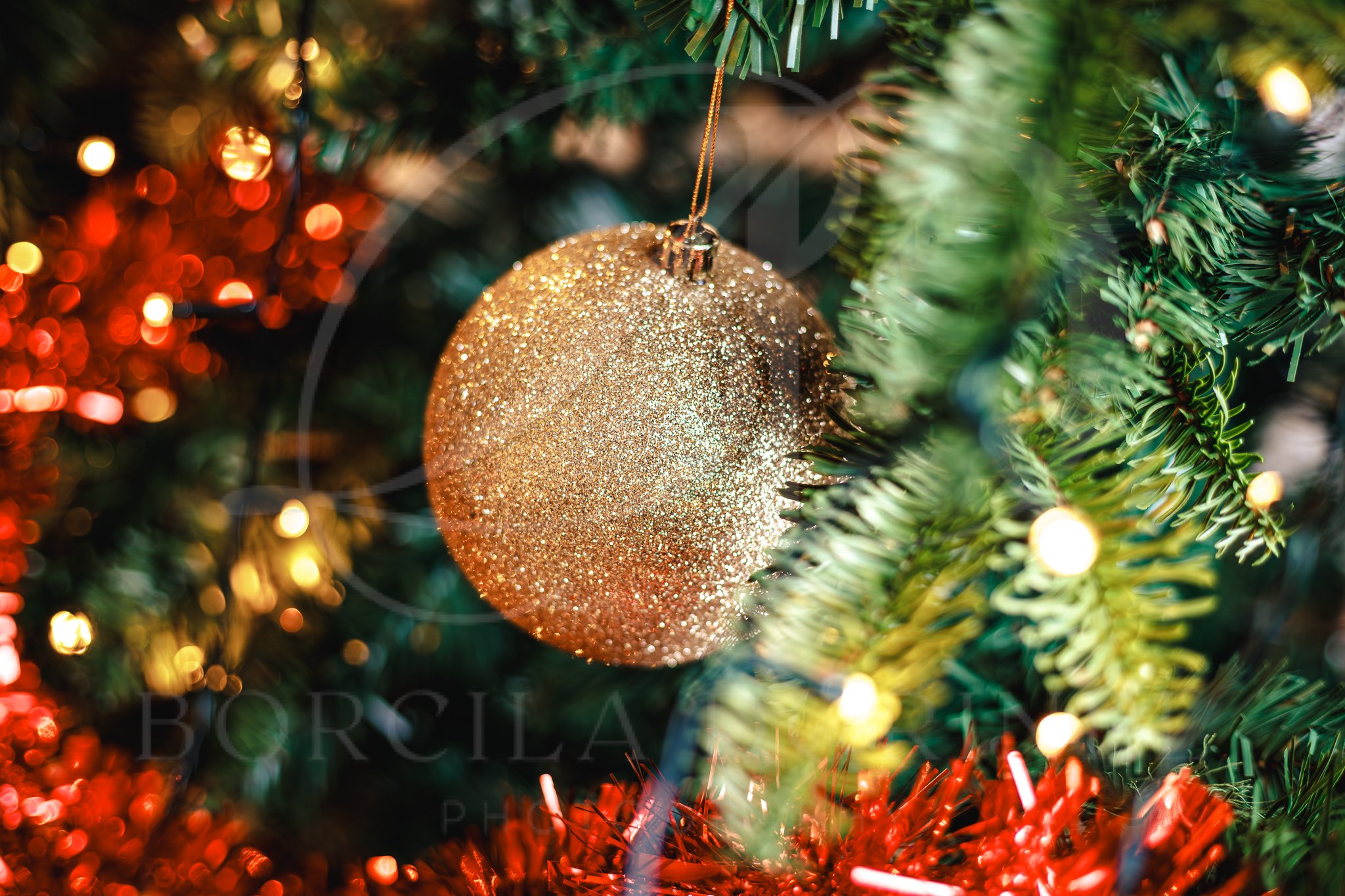 Professional Christmas profile photo with clean festive design