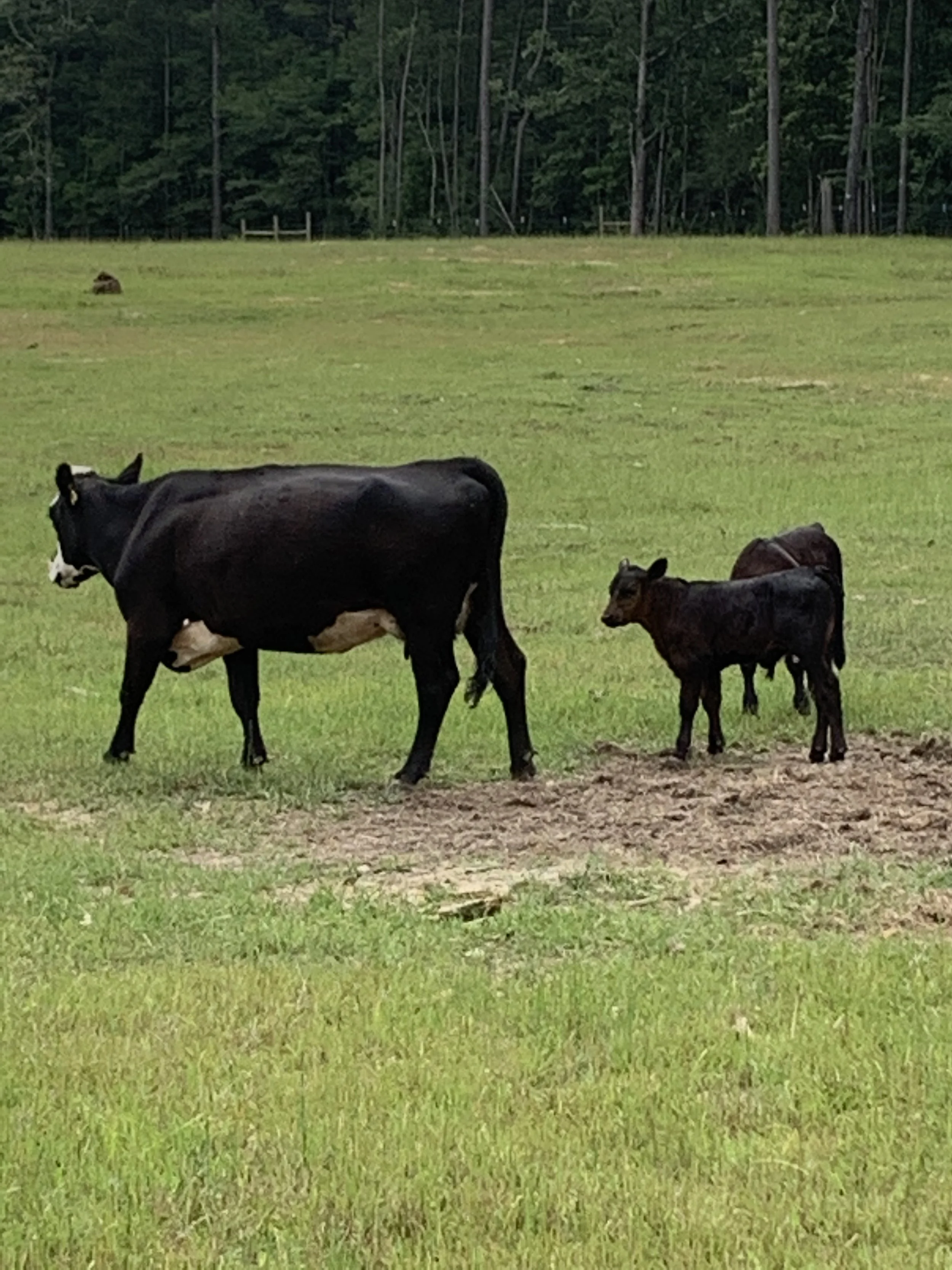 Chris Muse - IMG_8055.JPG