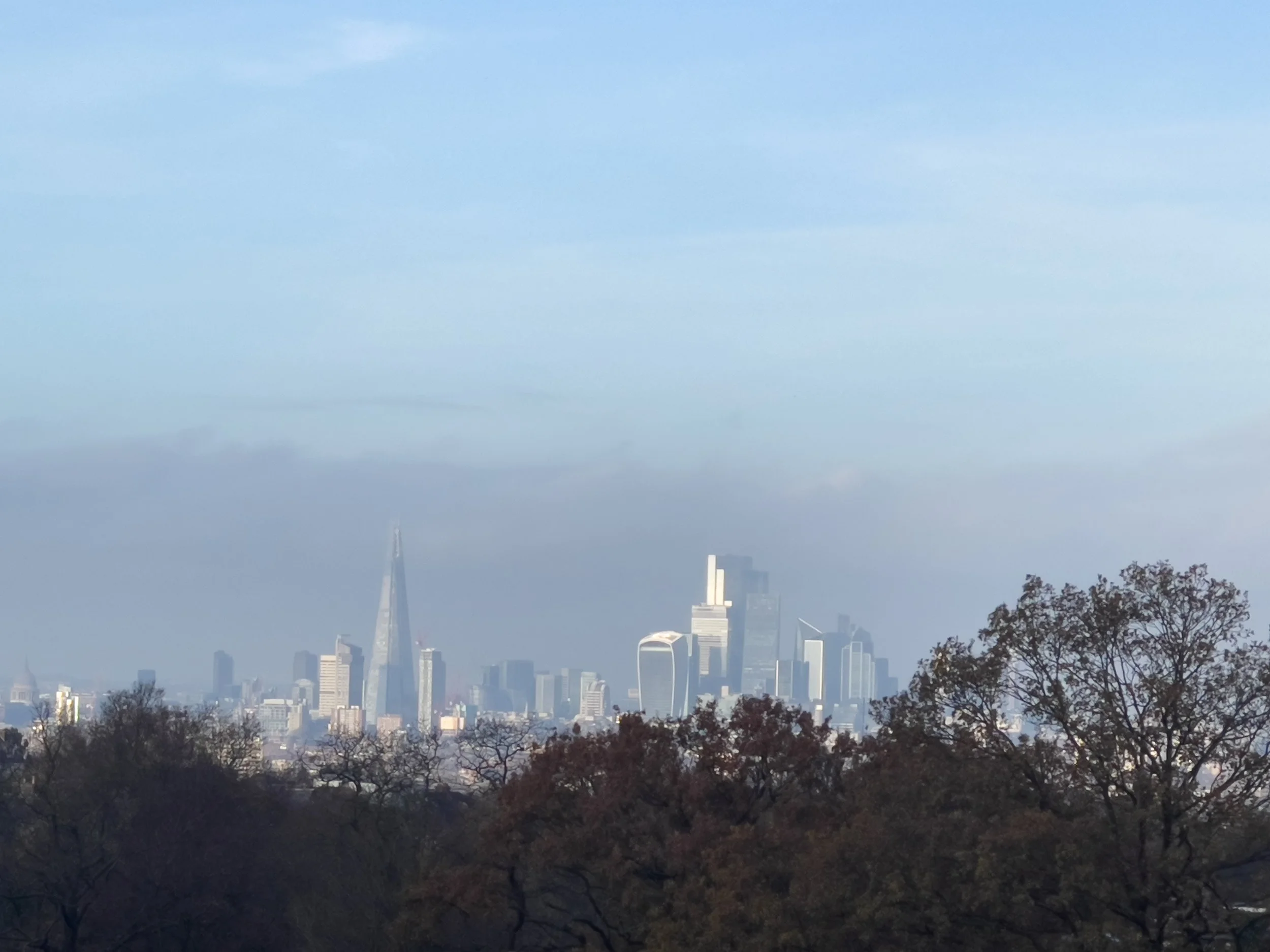 View From Hornimans.jpg