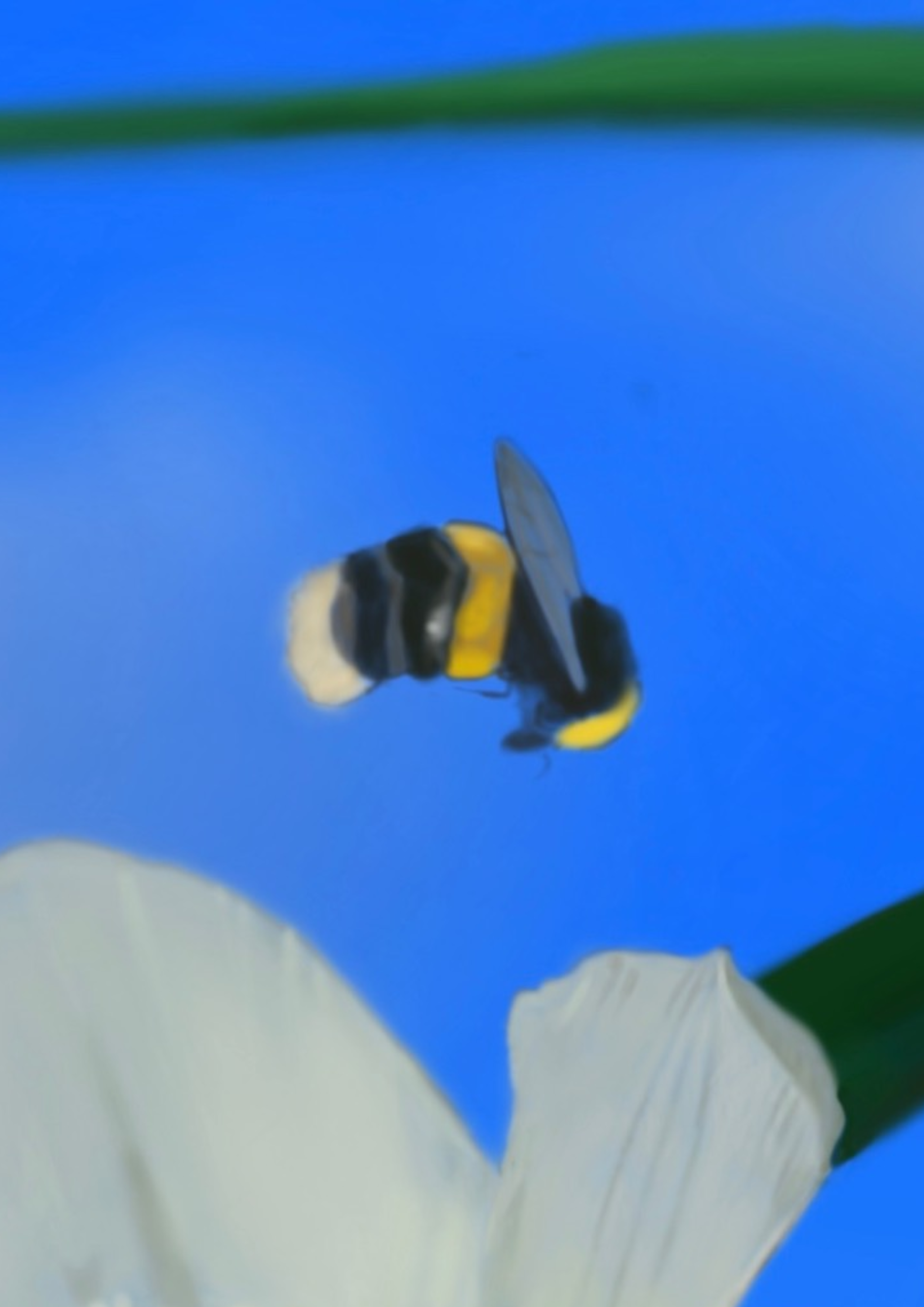 Untitled 6.PNG