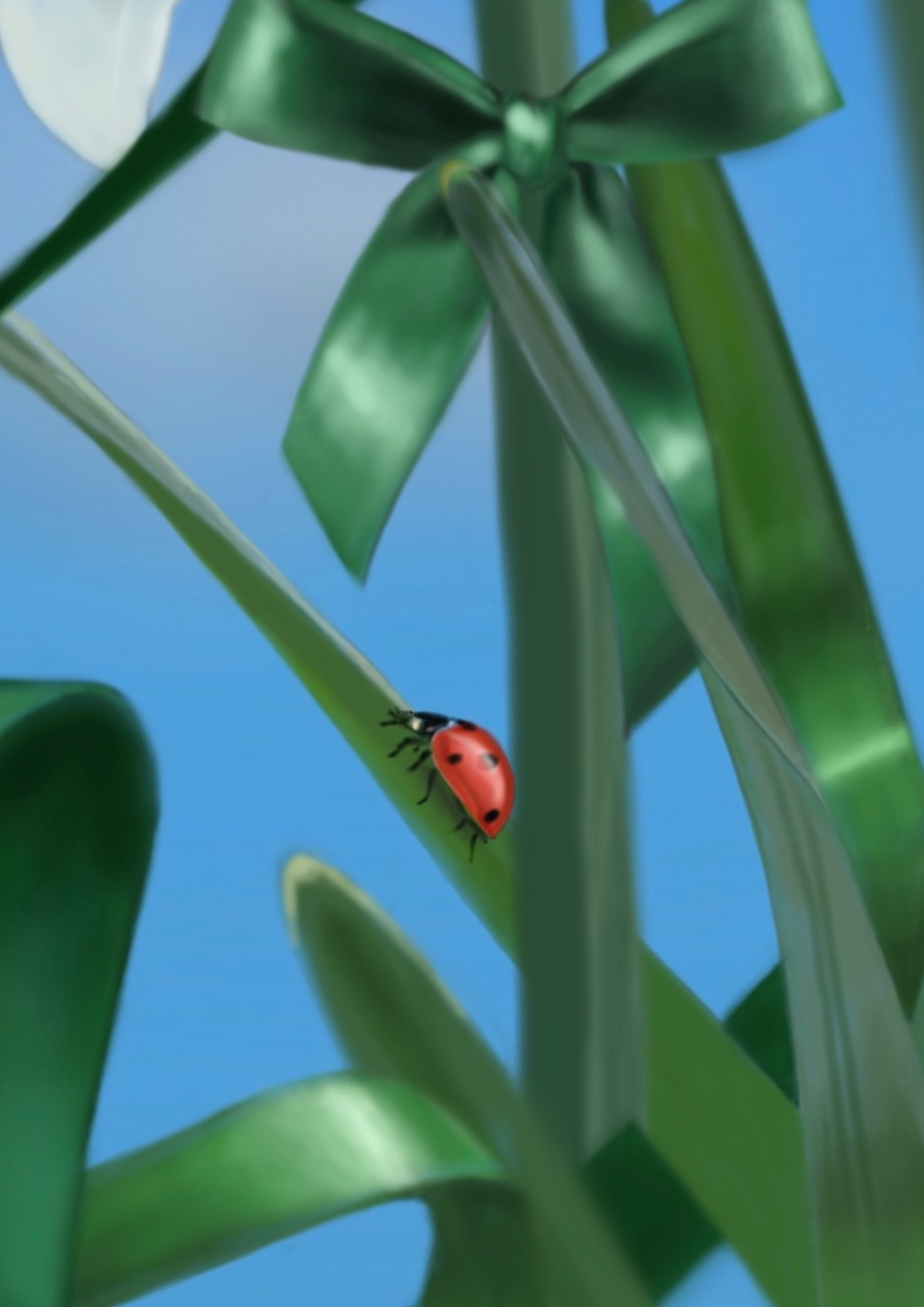 Untitled 4.PNG