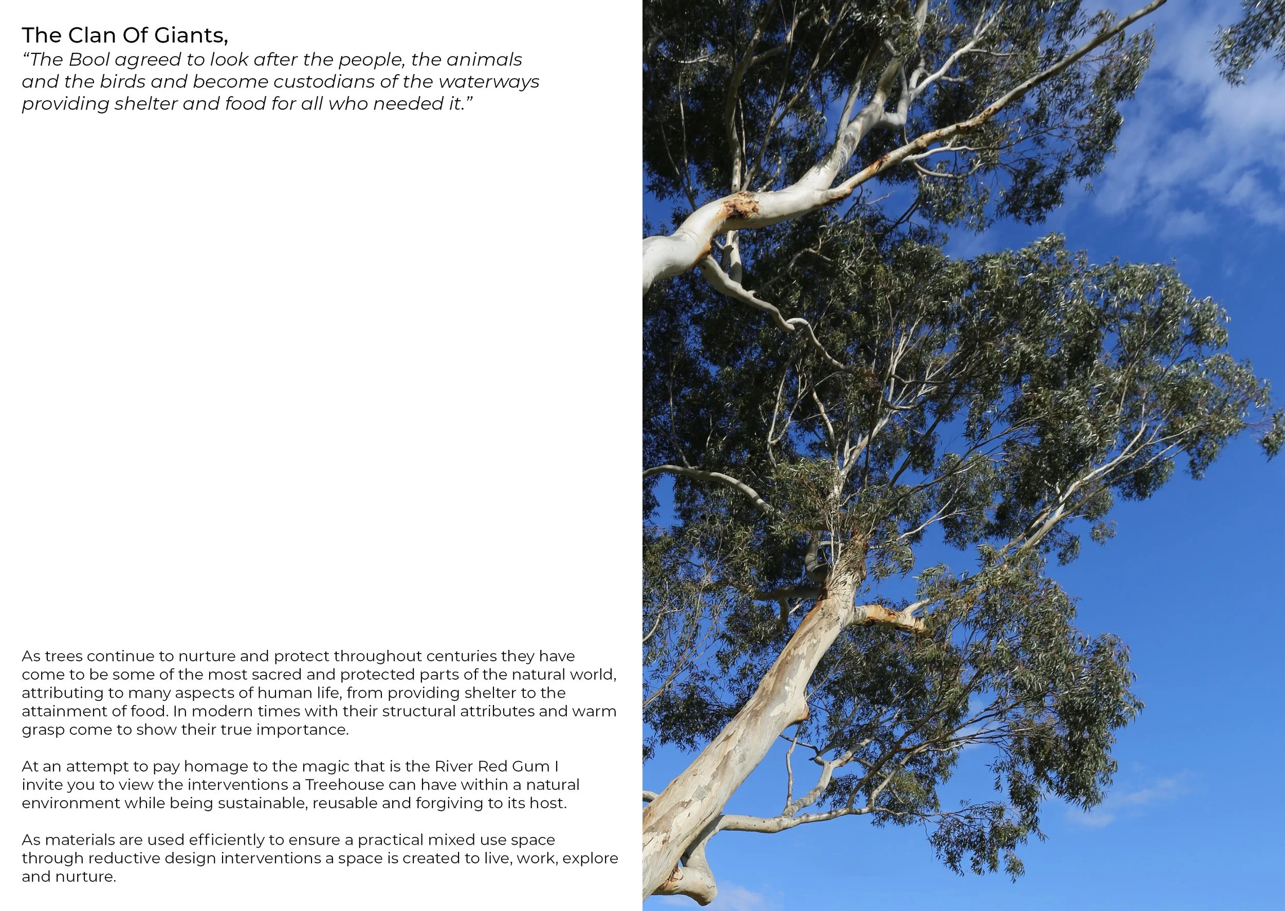 Final Portfolio 014.jpg