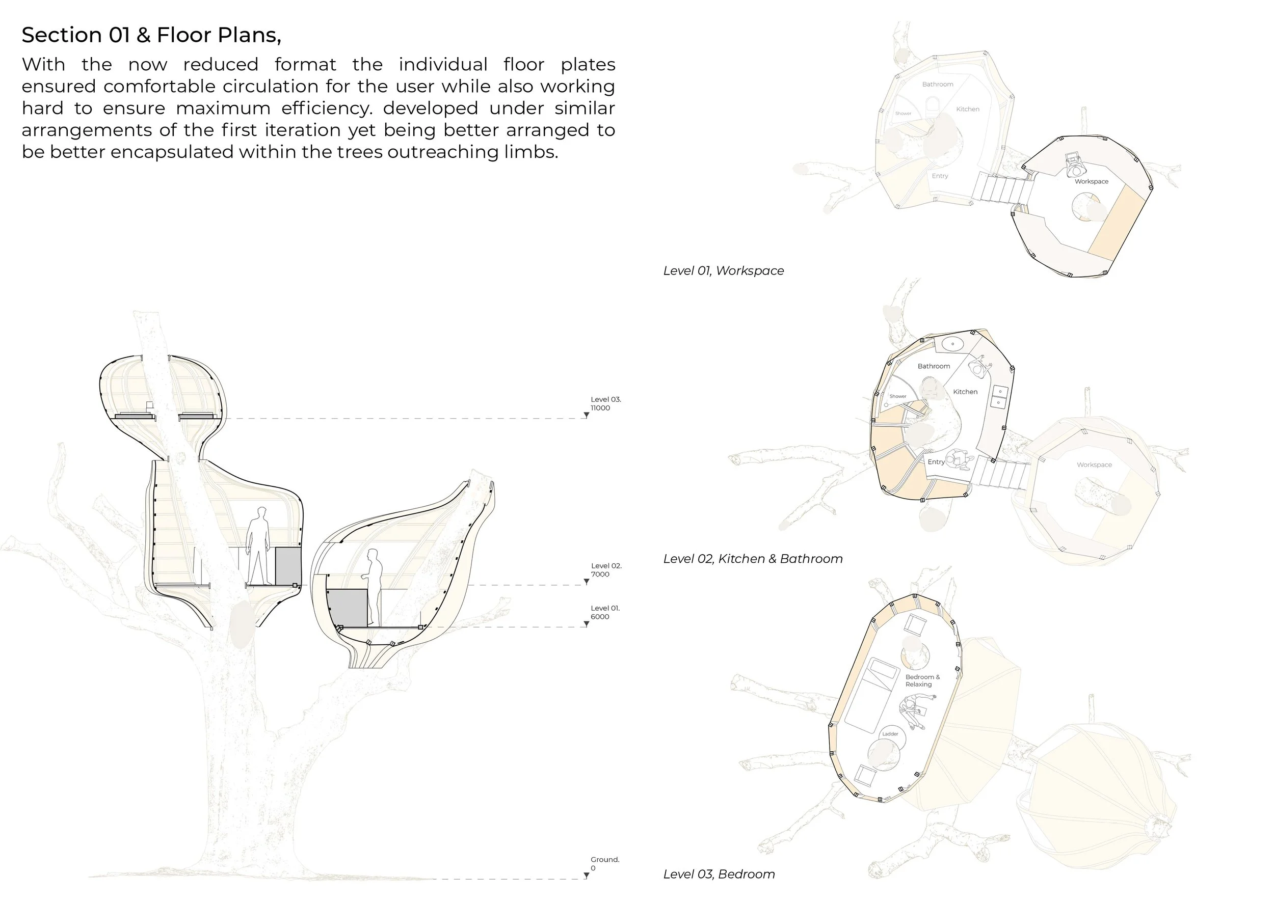 Final Portfolio 0123.jpg